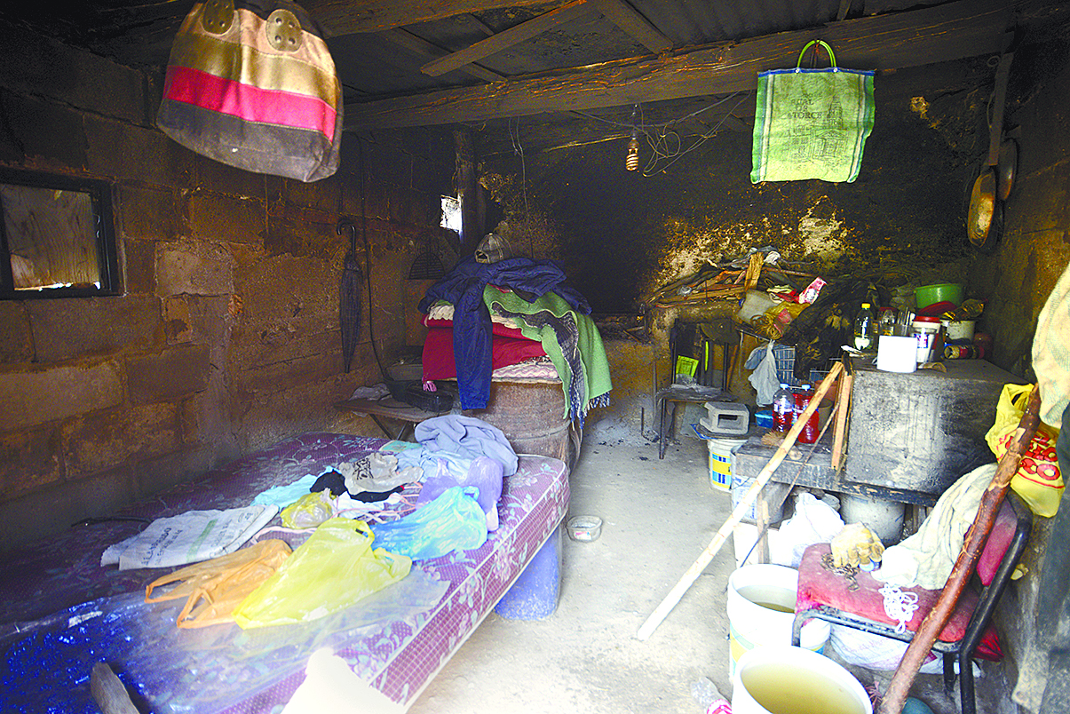 $!Don Pedro, el pastor del Cañón de San Lorenzo y sus 14 chivías