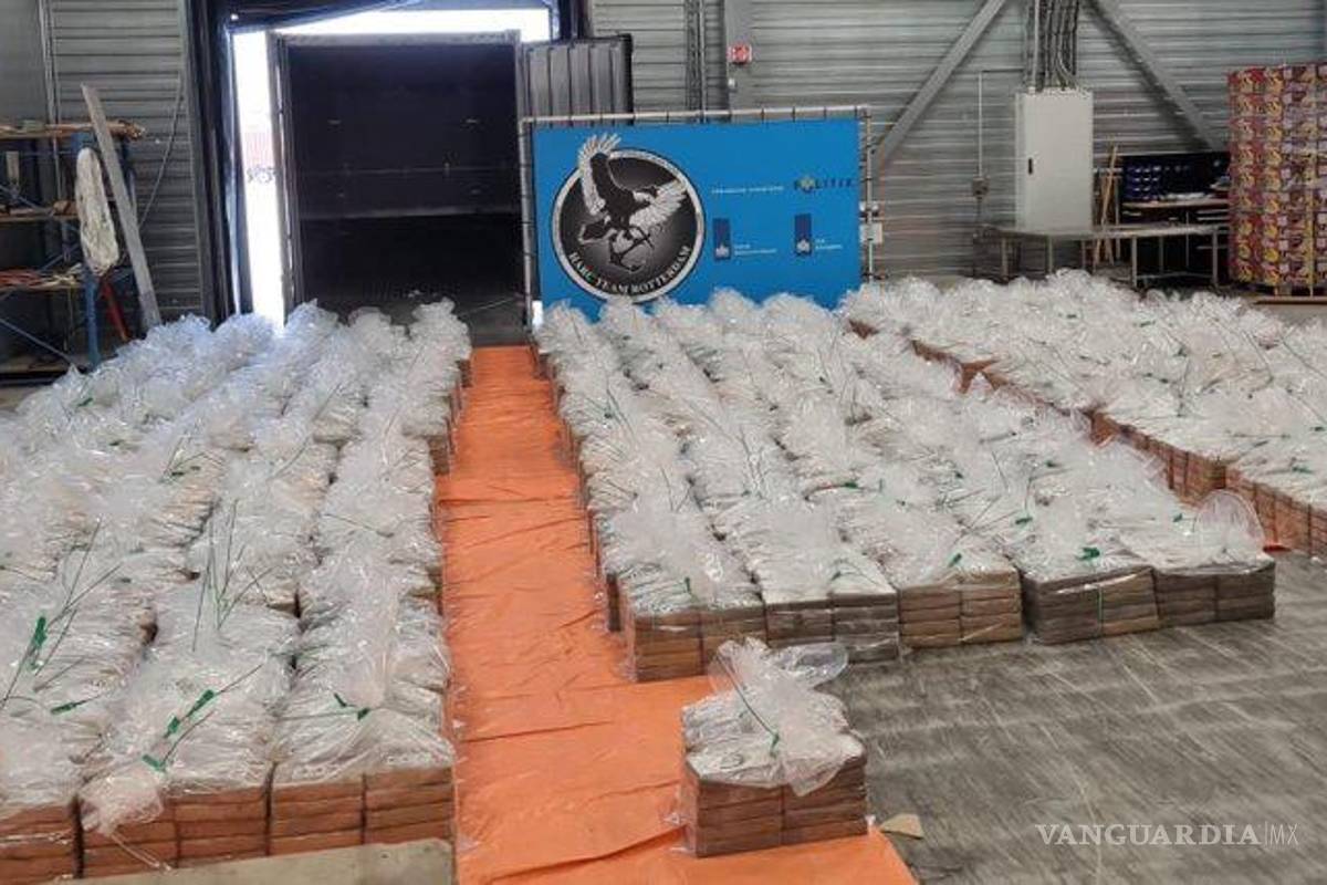 Decomisan ocho toneladas de cocaína en Holanda, un récord histórico