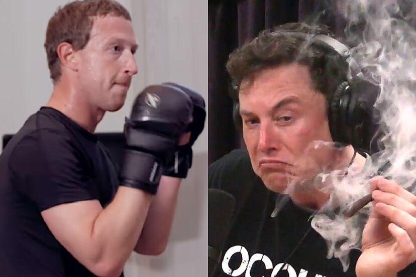 ¡Hay tiro! Elon Musk reta a Mark Zuckerberg a pelea en jaula, CEO de Facebook acepta. Noticias en tiempo real