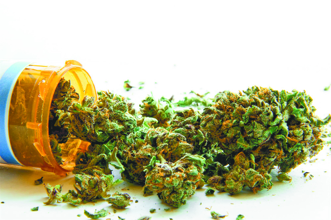 $!Soy mariguano ¿y qué?