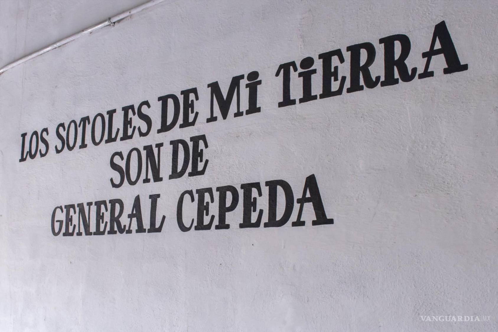 $!Desde 1999 Roberto Palacios Cabral y su familia elaboran el sotol, una bebida espirituosa con una fuerte gradación de alcohol que va de 38 a 45 por ciento.