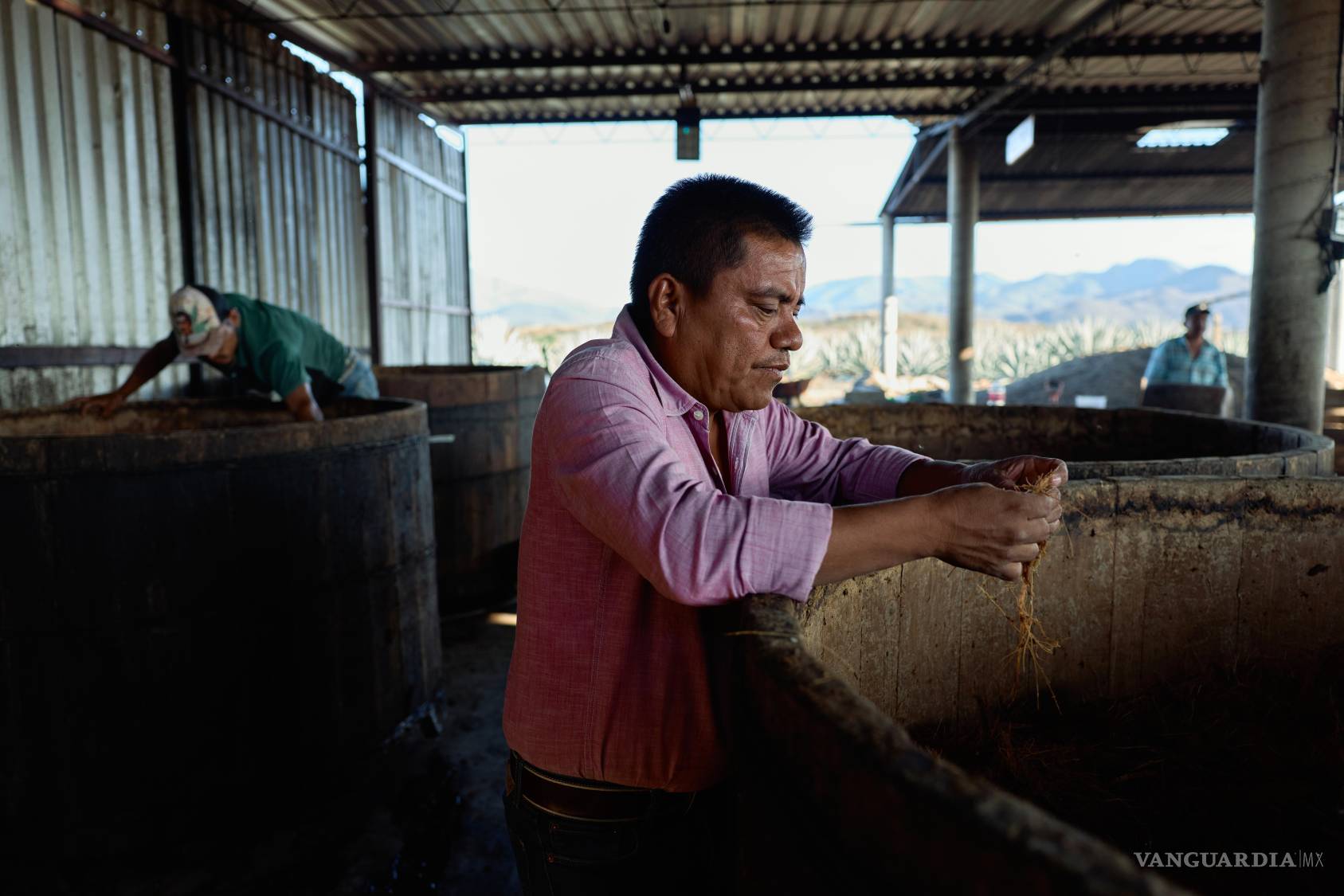 $!Armando Martínez Ruiz, productor de mezcal, recoge bagazo, las fibras que se utilizan para destilar mezcal, en su destilería de mezcal en Soledad Salinas.