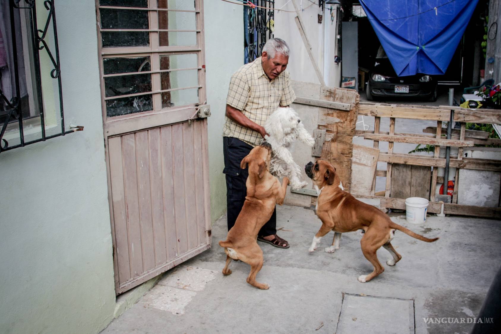 $!La historia de dos hombres que mataron más de 100 mil perros