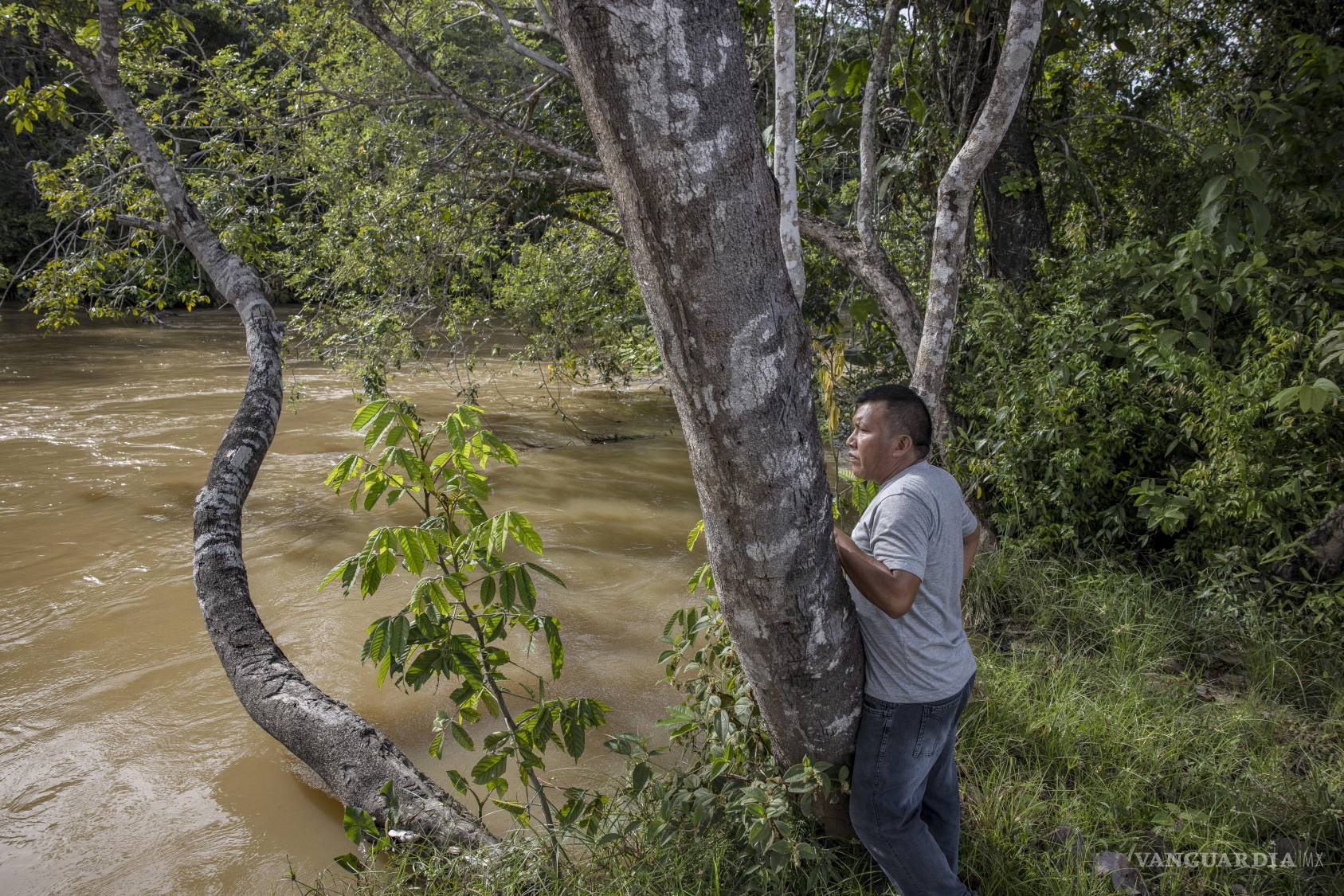 $!Alexandre Apolinário, líder indígena de la Tierra Indígena Boqueirão, observa el río Mucajaí, utilizado por mineros ilegales de oro como ruta de suministro para la minería ilegal en el territorio protegido del pueblo Yanomami en la Amazonía.