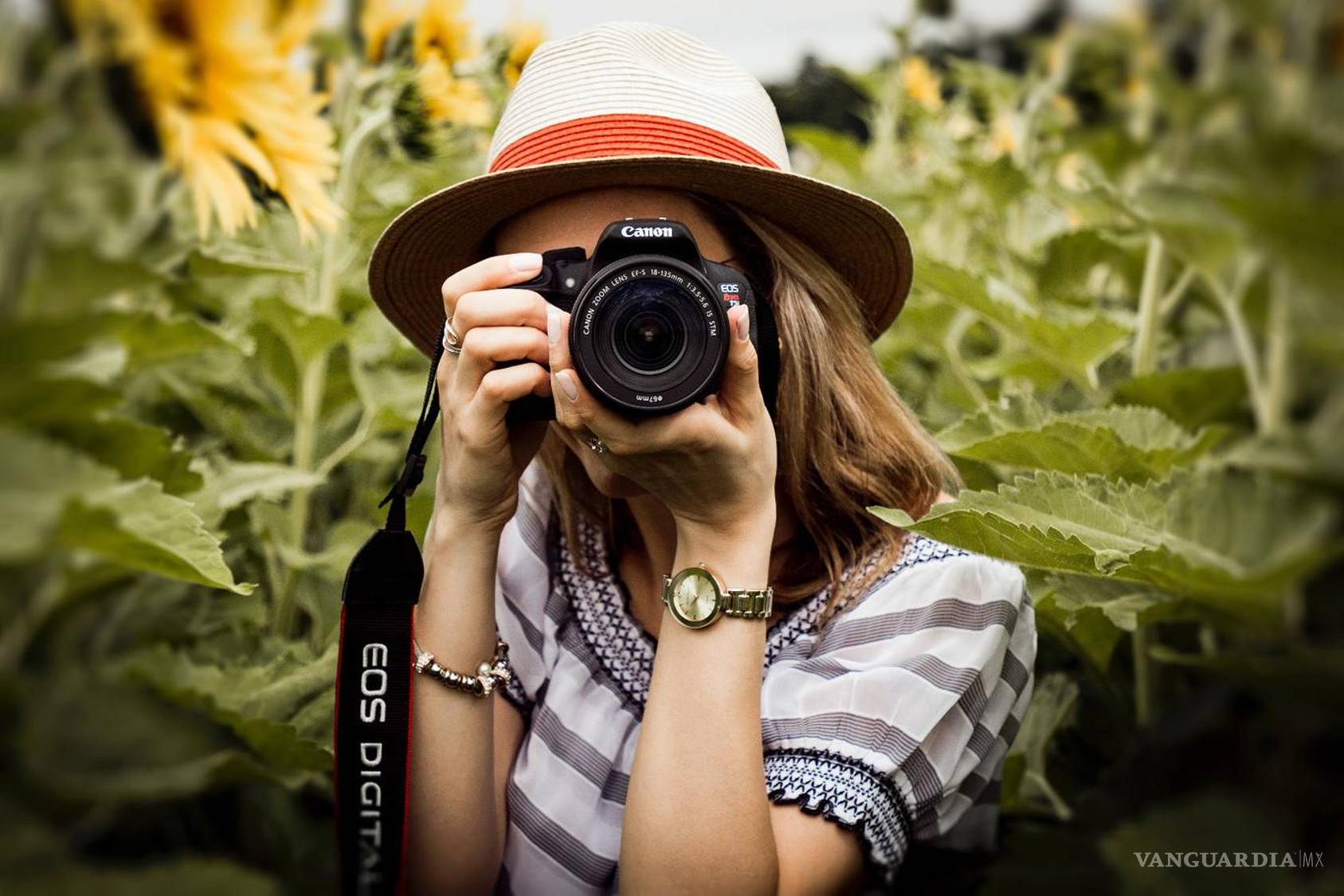 $!Los fabricantes tienen la mira en quienes se inician en la fotografía.