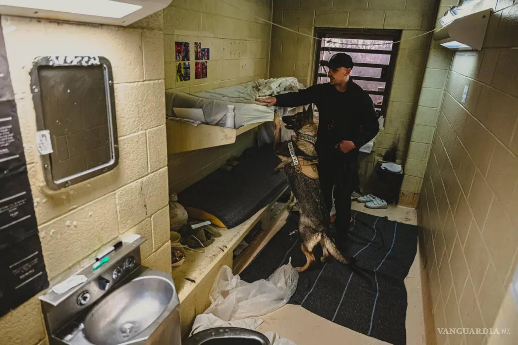 $!Una unidad K-9 registrando una celda en busca de drogas de contrabando.