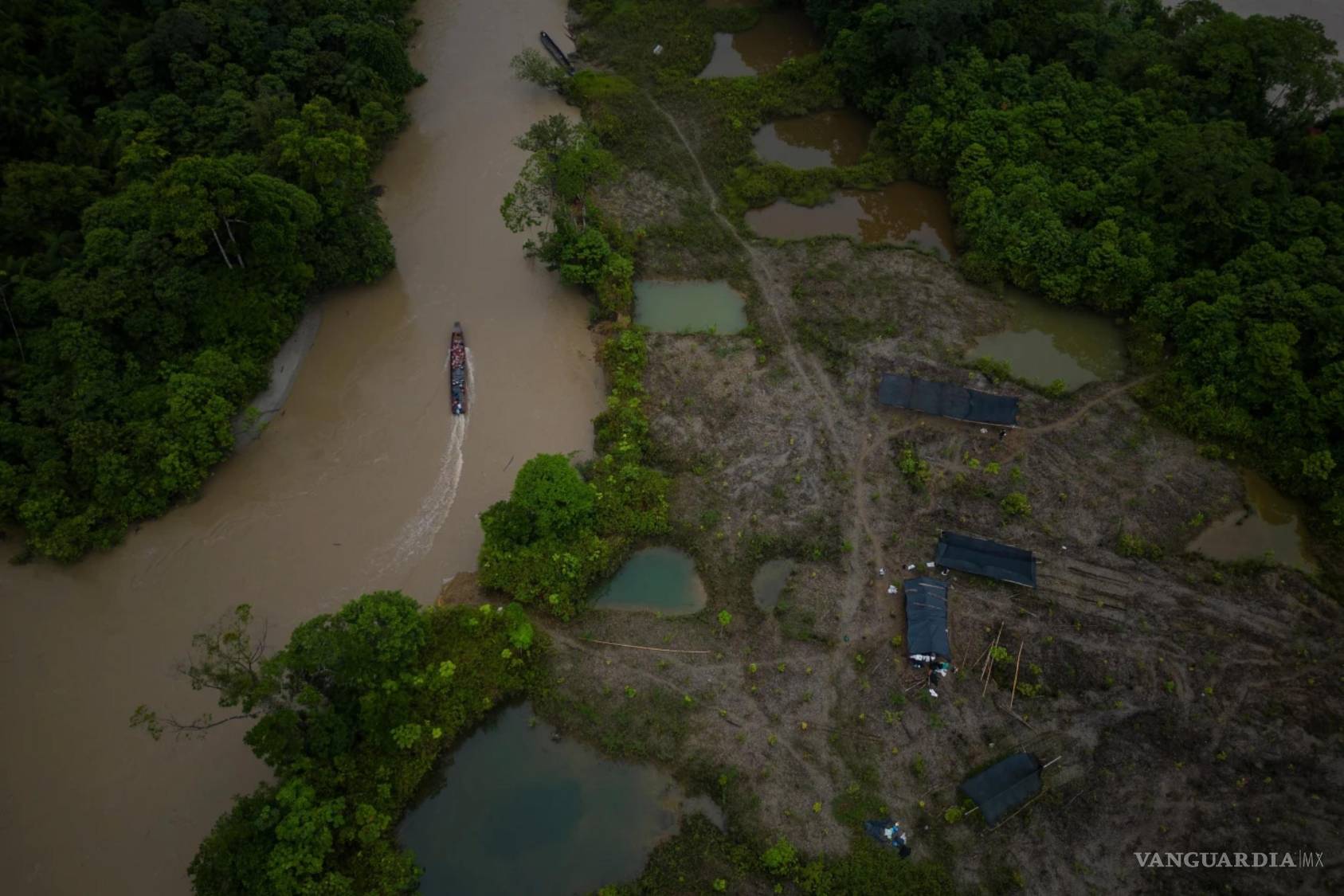 $!Una embarcación transporta gasolina en el río Amazonas usada en maquinaria de minería ilegal junto a una zona que está siendo reforestada en Paimadó, Colombia, el 24 de septiembre de 2024.