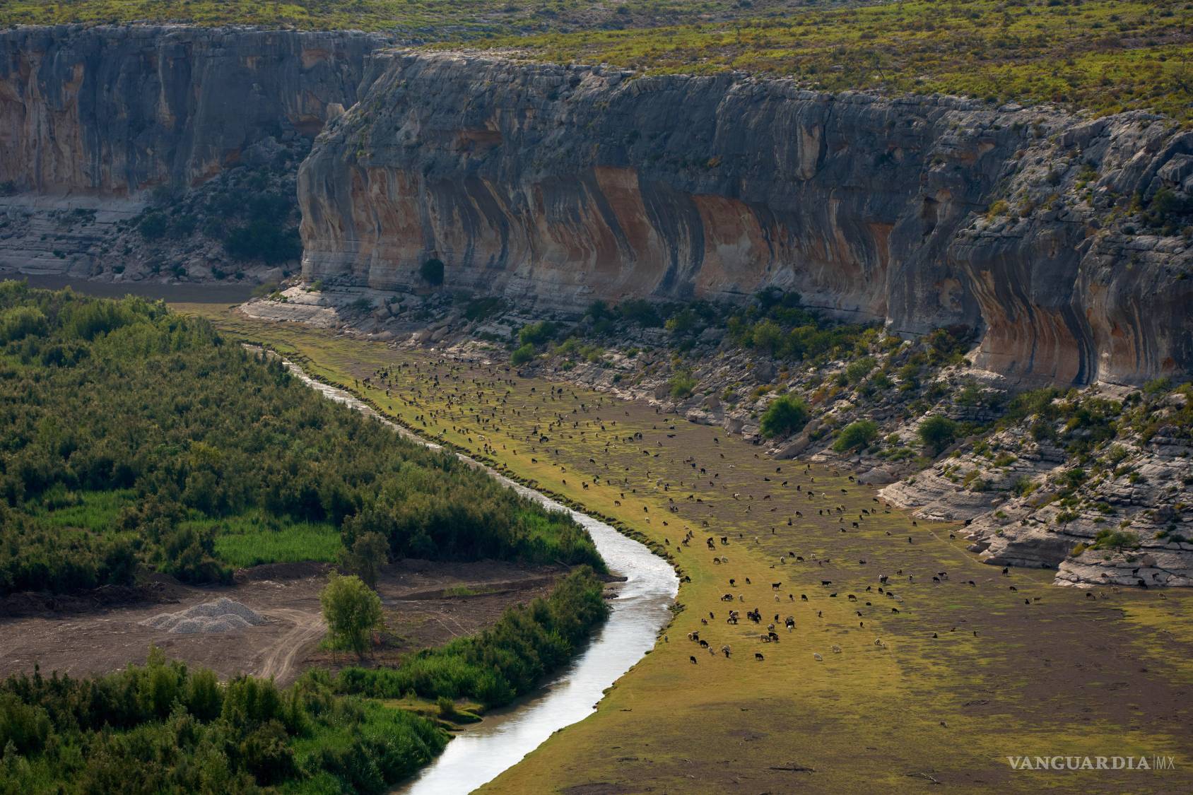 $!Unas cabras pastan a lo largo del río Pecos, cerca de su confluencia con el río Grande en la frontera con México cerca de Comstock, Texas.