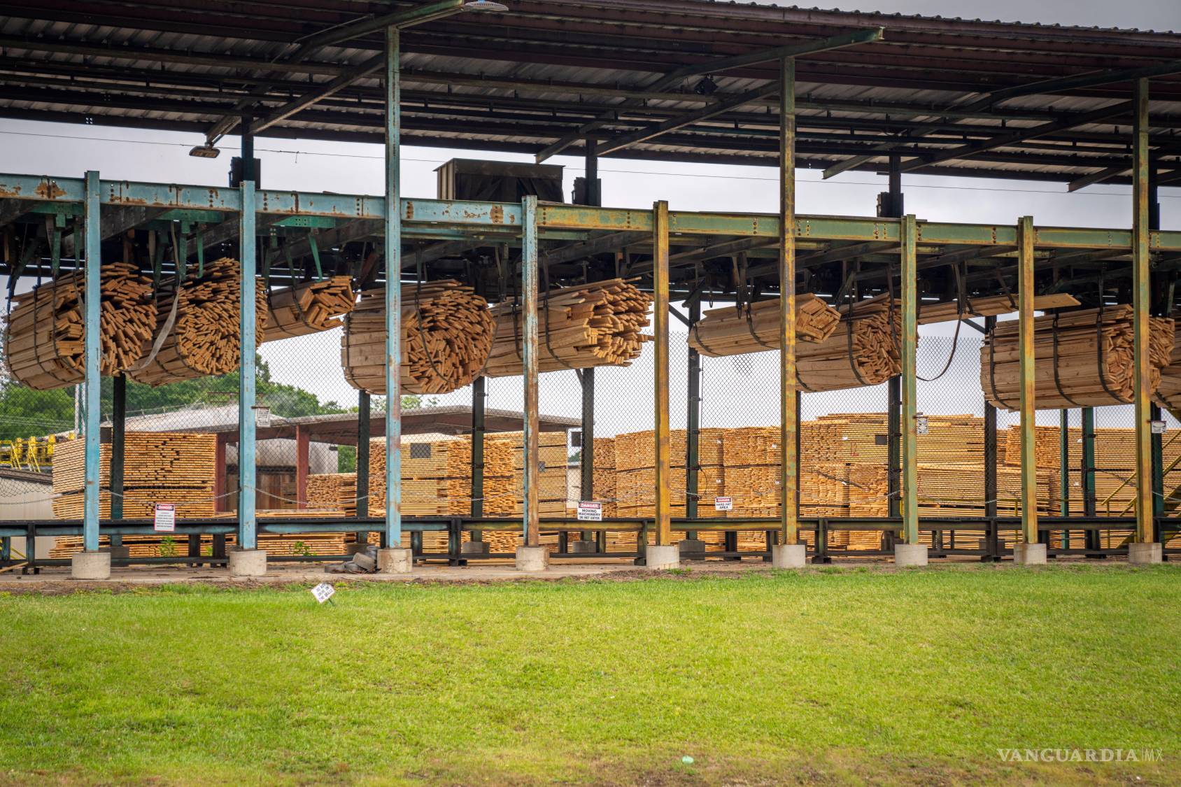 $!El sector forestal enfrenta nuevamente la presión de aranceles al contrachapado.