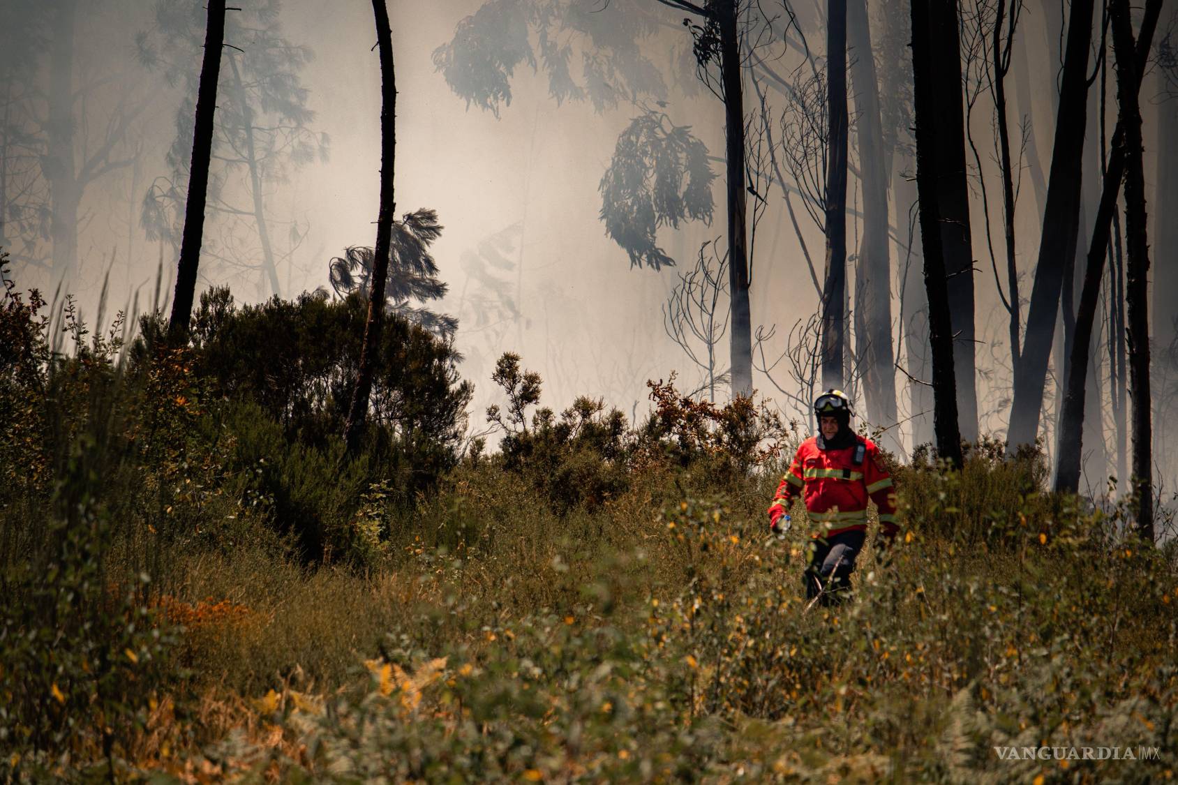 $!La publicación de imágenes alteradas por IA causó controversia durante incendios reales.