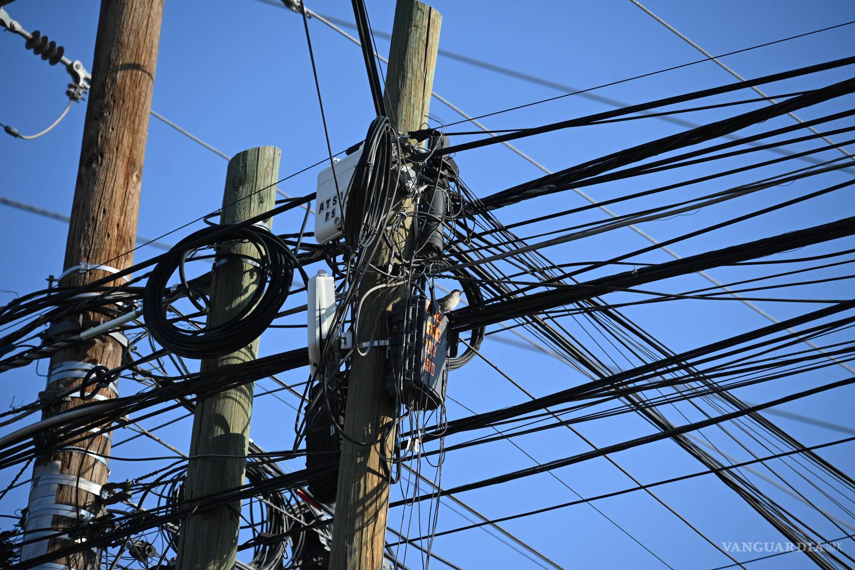 $!Tres postes de madera sostienen una acumulación de líneas, conexiones y rollos de cable cuyo estado de funcionamiento no puede distinguirse a simple vista. En uno de esos postes, el de la derecha, posa un ave que apenas se alcanza a distinguit. La imagen plantea una pregunta sobre la vida útil de la infraestructura.