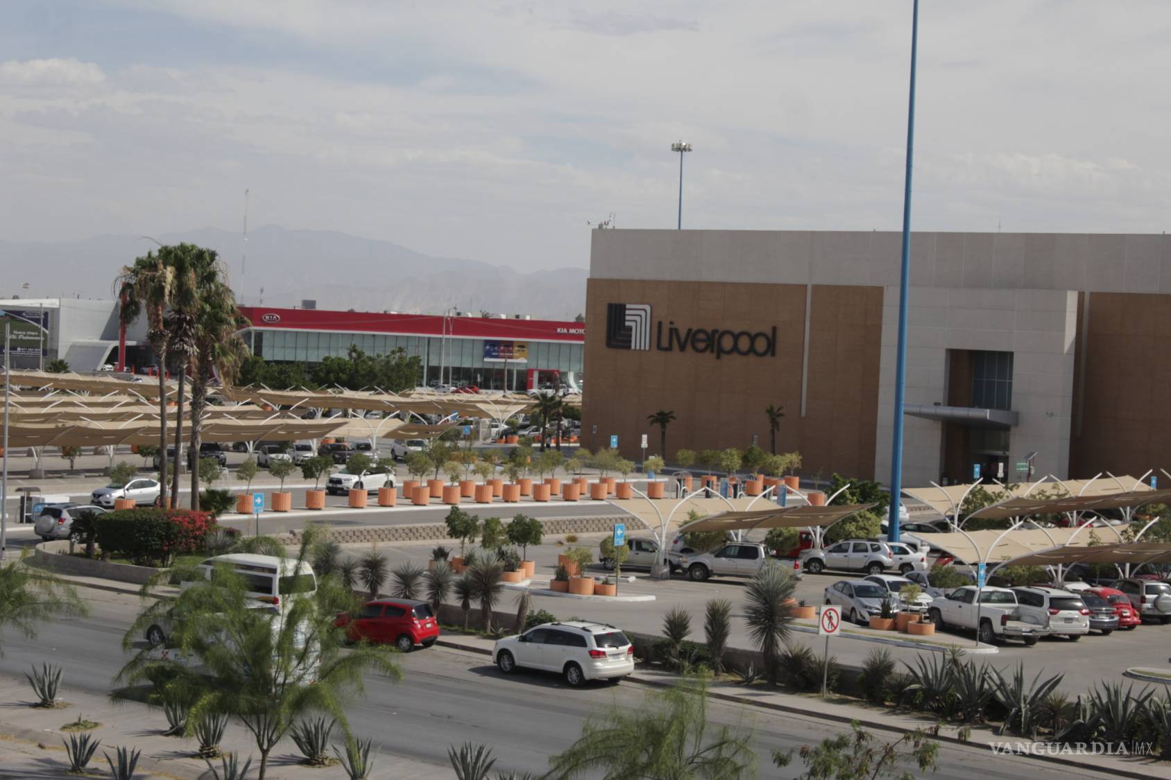 $!La nueva oleada de plazas comerciales en Torreón: ¿qué reflejan?