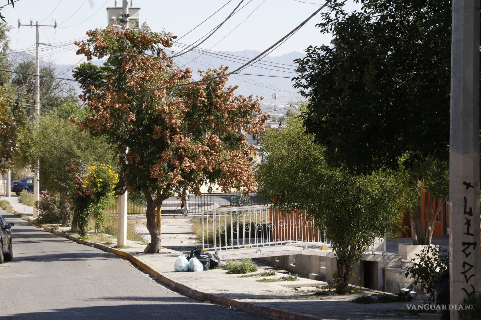 $!Las leyendas que esconde Saltillo ... ¿Te atreves a leerlas este Halloween?