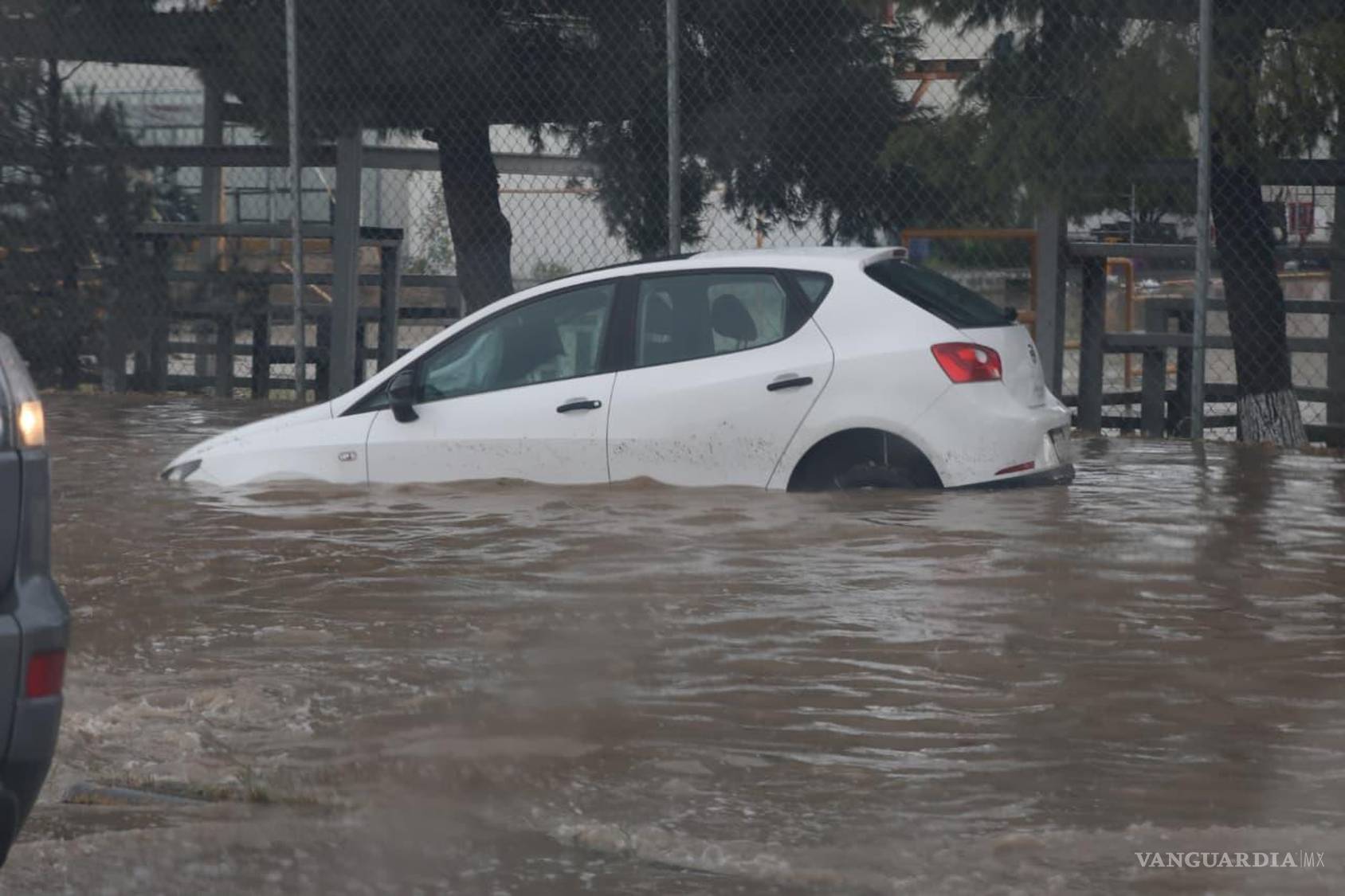 $!Vehículos varados tras acumulación de agua por fuertes lluvias en Ramos Arizpe.