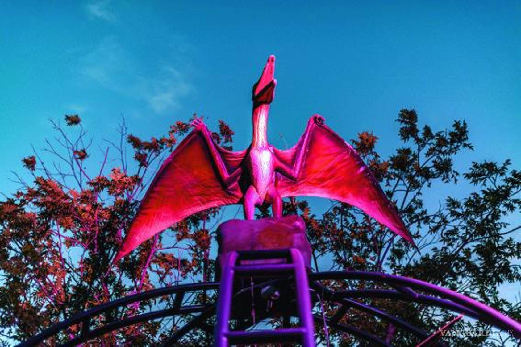 $!No todo se vivía a ras de suelo, este amigo dominaba los aires.