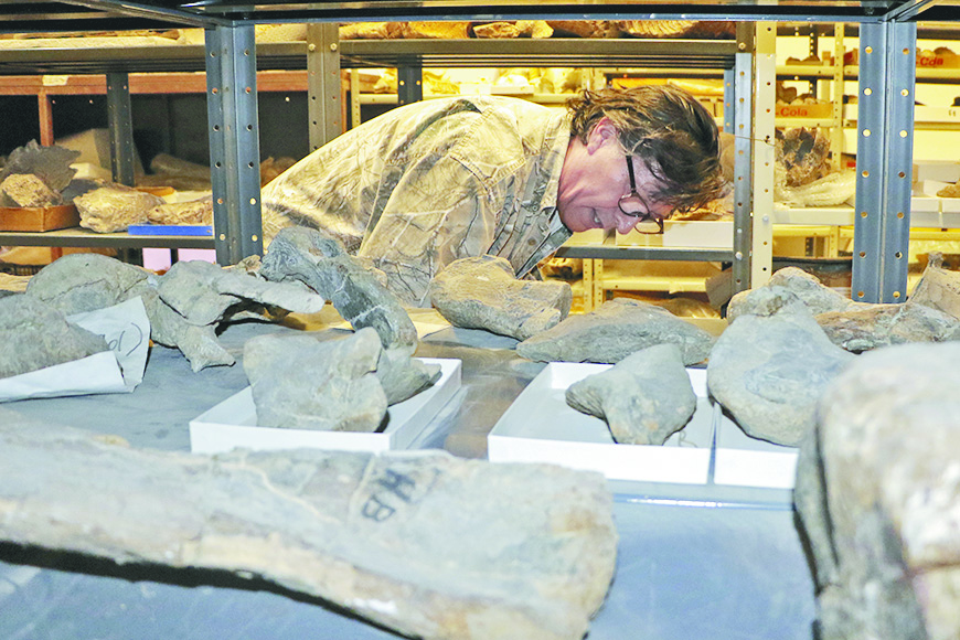 $!El hombre que da vida a los dinosaurios