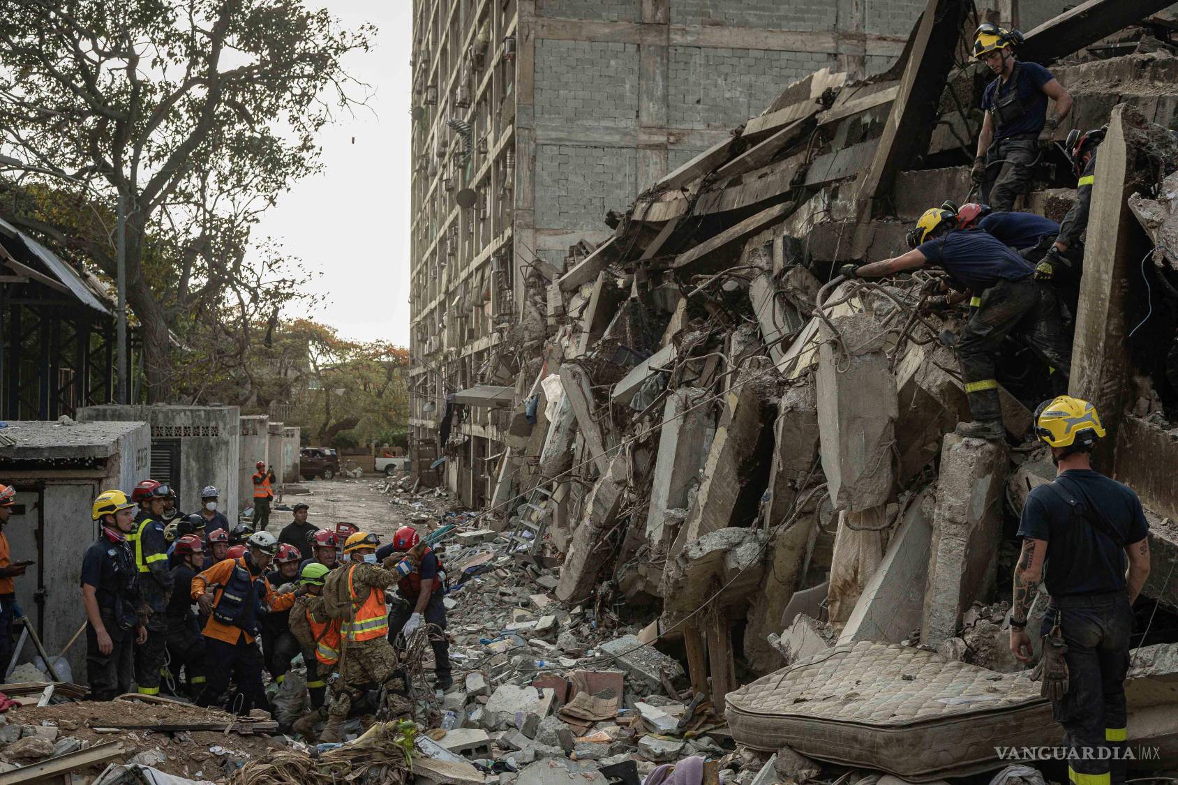$!Equipos internacionales de rescate, como la asociación suiza REDOG, trabajan incansablemente removiendo toneladas de concreto y acero. Sus perros entrenados rastrean cada rincón en busca de cualquier aroma que indique la presencia de alguien con vida atrapado bajo el colapso de los edificios.