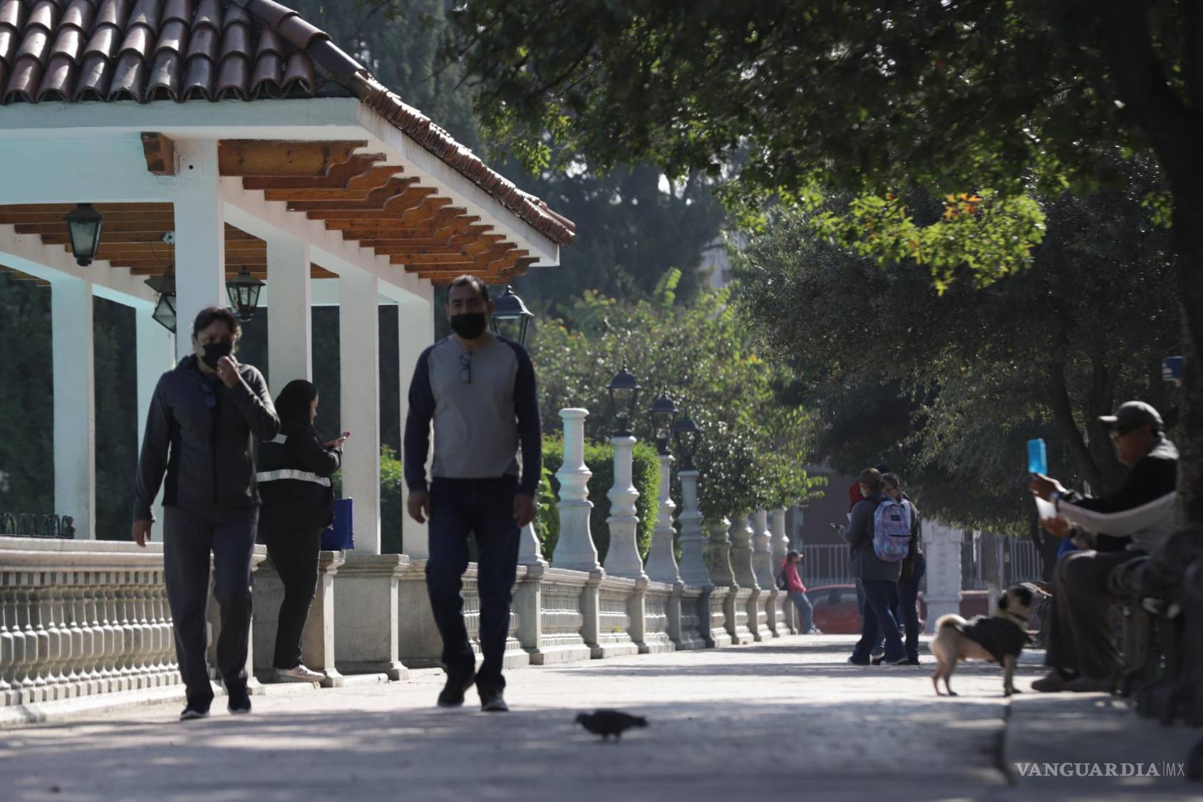 $!Diariamente decenas de personas hacen uso de las banquetas para paseo y ejercicio.
