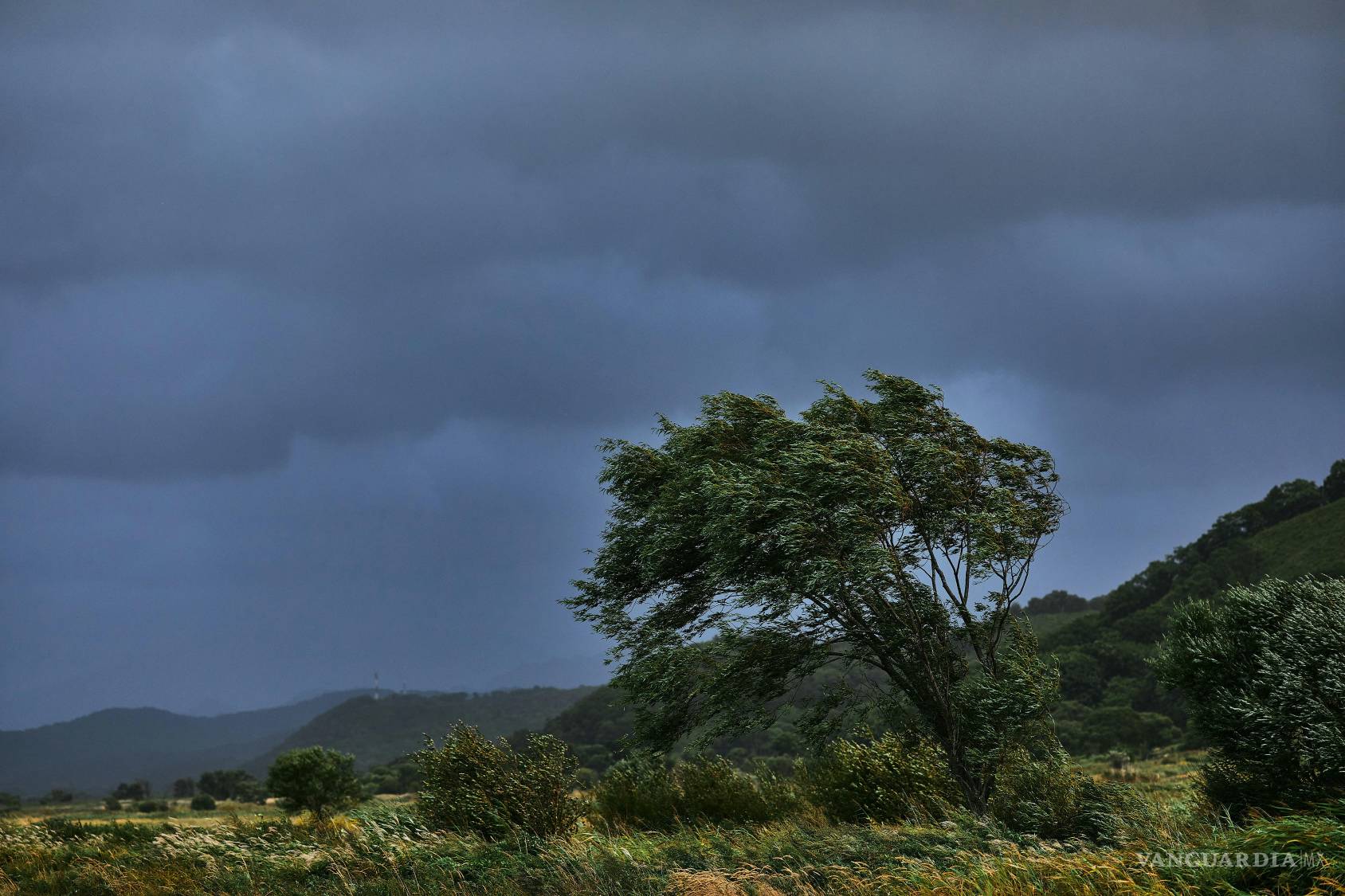 $!Opinión: El super El Niño está a punto de crear caos meteorológico. Hay que prepararnos