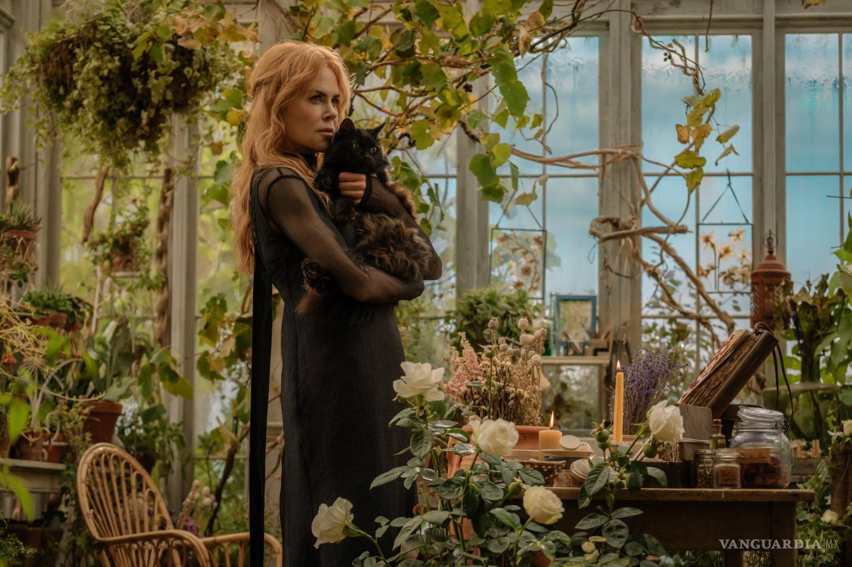 $!‘Me encantan las historias entre mujeres, juntas’, Nicole Kidman y Sandra Bullock vuelven a la magia