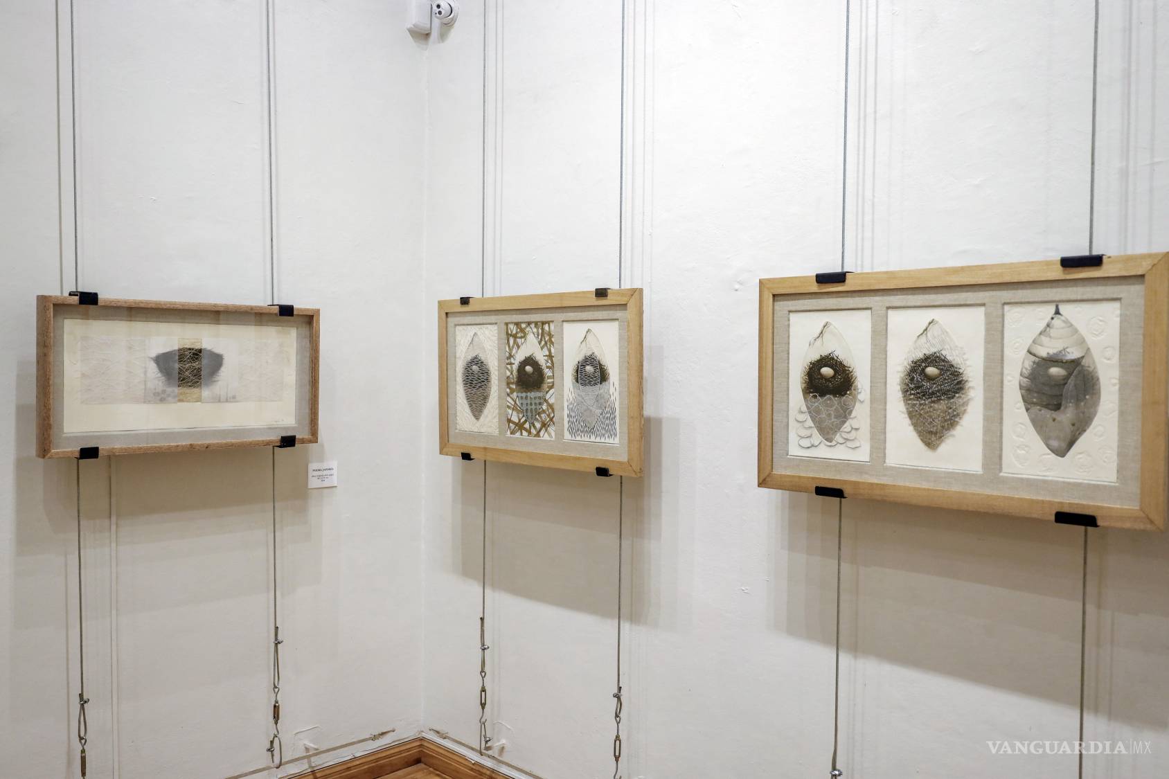 $!Mar Gasca Madrigal revela la luz entre la sombras con exposición de grabado “Gestar el nido” en Saltillo