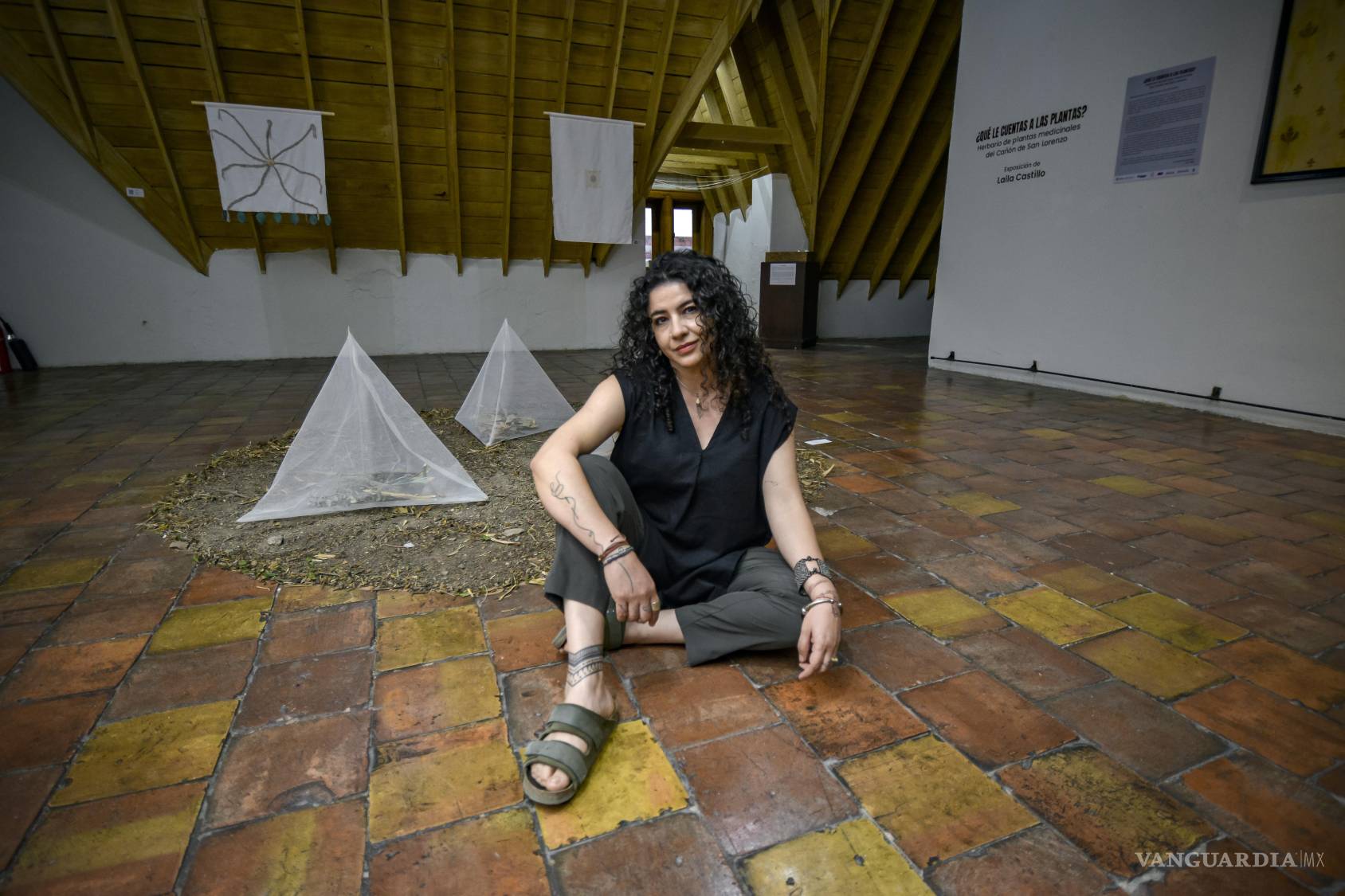 $!Inaugura Laila Castillo exposición que se inspira en la flora medicinal del Cañón de San Lorenzo