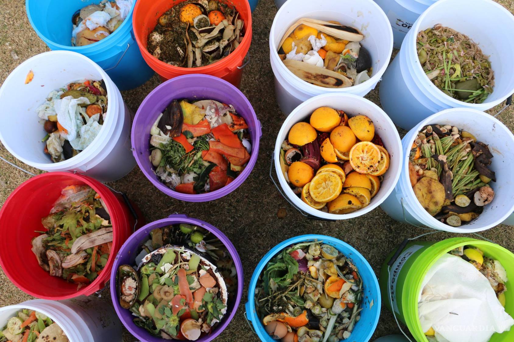 $!Las frutas y verduras son compostables, ¡no las tires a la basura!