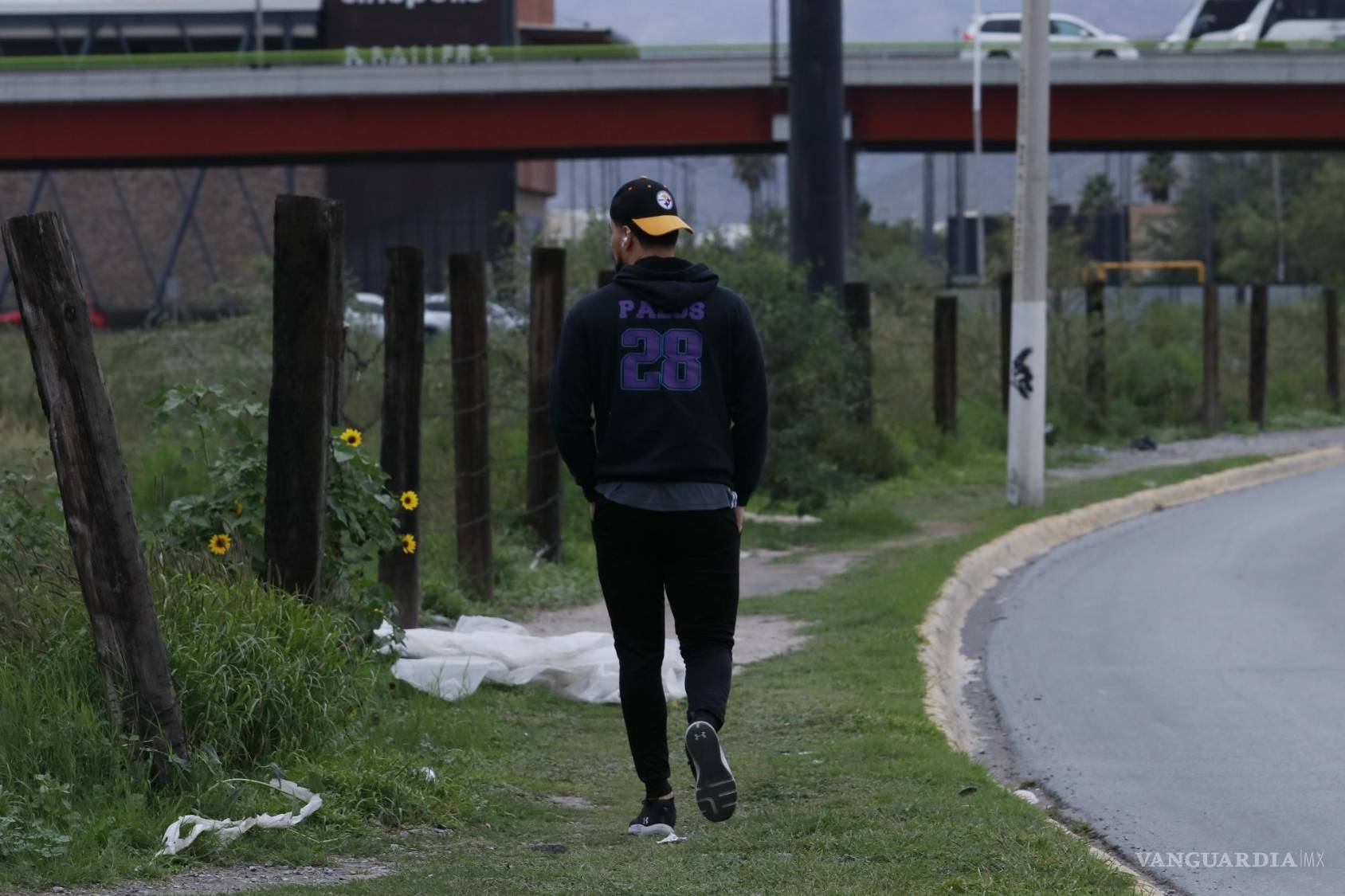 $!Existen banquetas levantadas por las raíces de los árboles, arbustos que empiezan a invadir el área peatonal o banquetas quebradas.