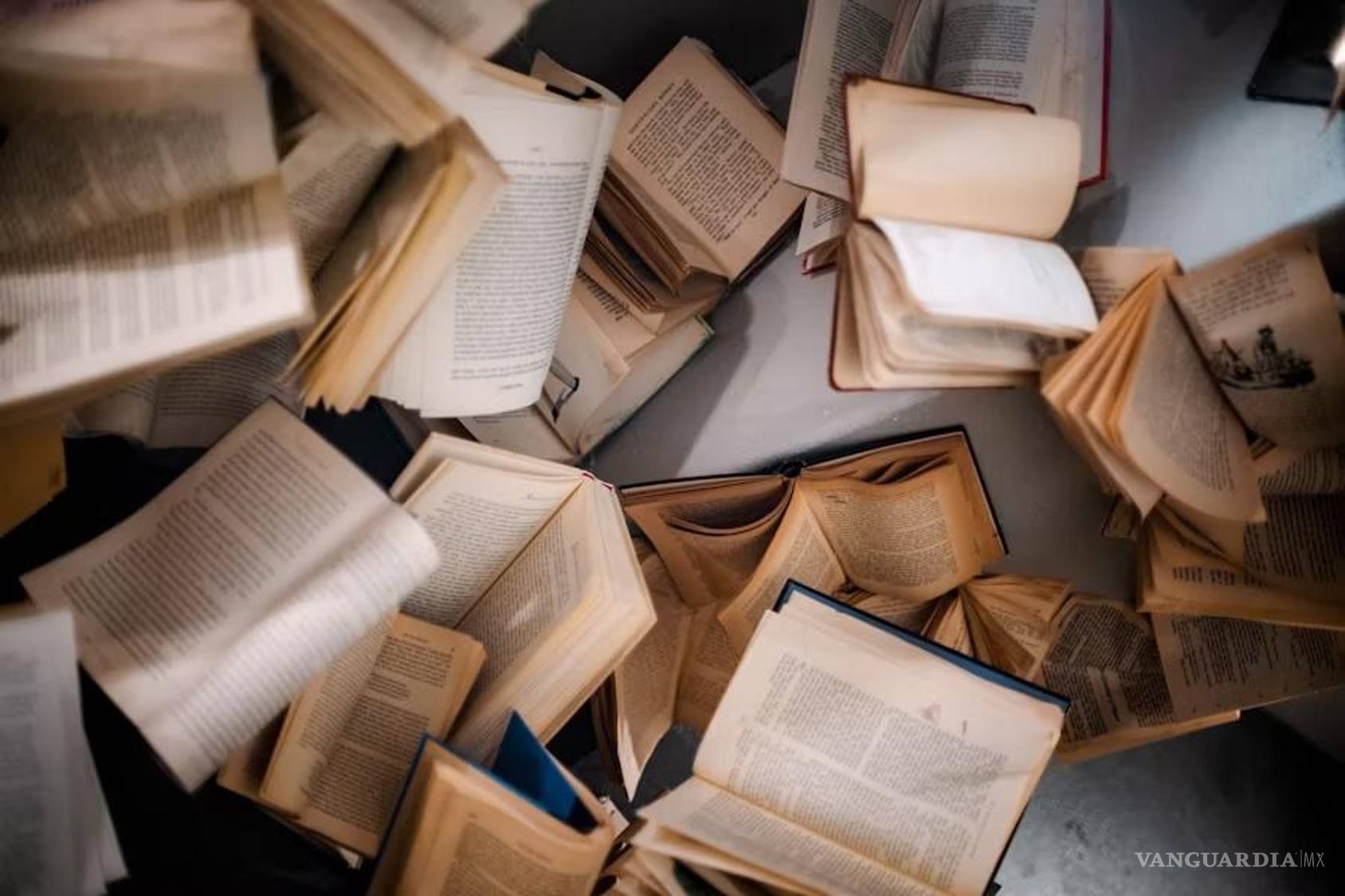 $!Las empresas de IA destruyen libros antiguos para entrenar a sus modelos