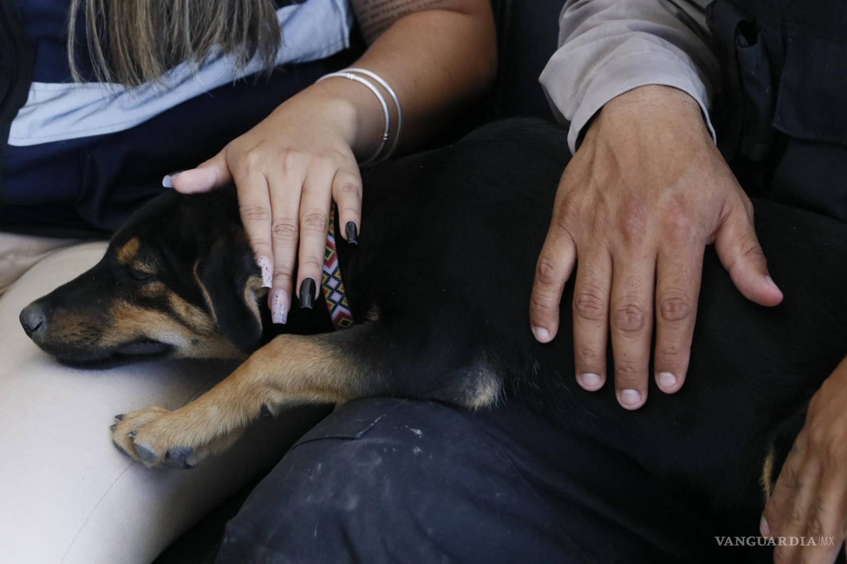$!La cachorrita es muy querida por los trabajadores de la planta.