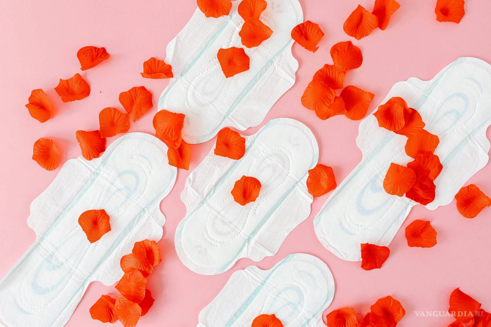 $!Calzones menstruales... ¿la mejor opción?