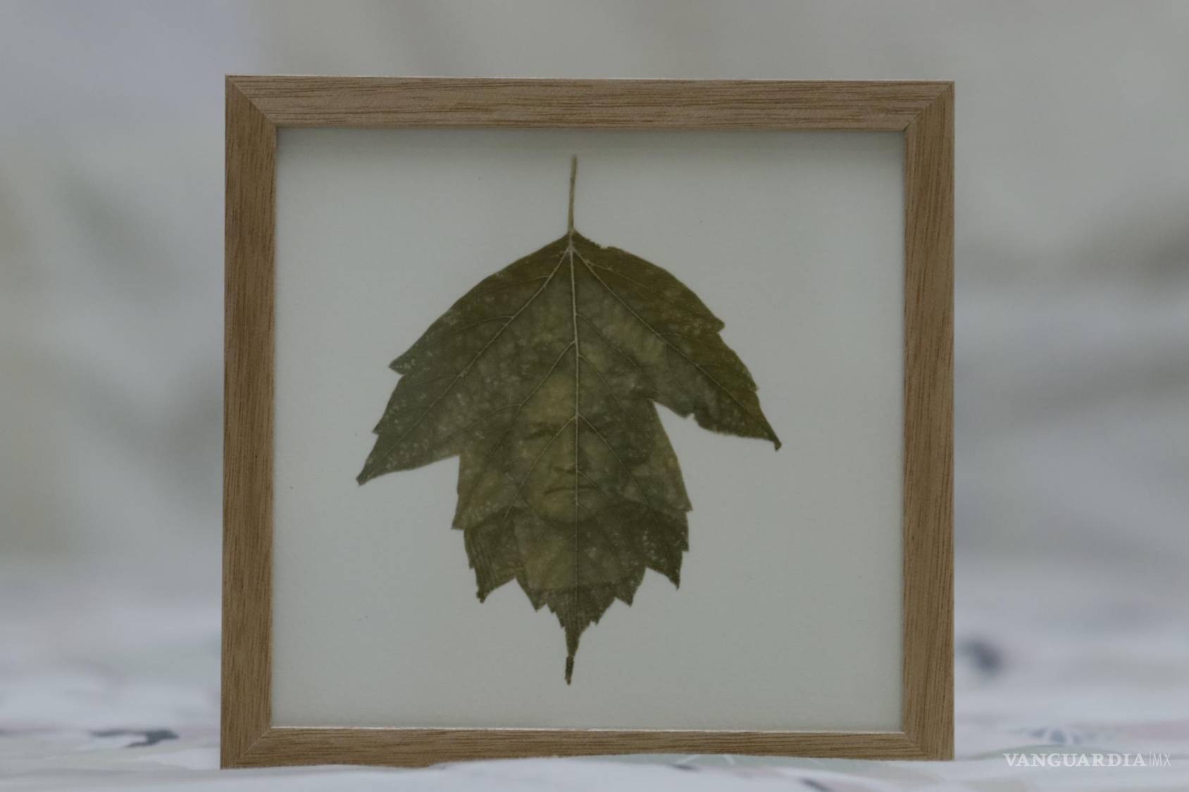 $!Las imágenes se plasman de muy diferentes maneras, a través de procesos experimentales de impresión.