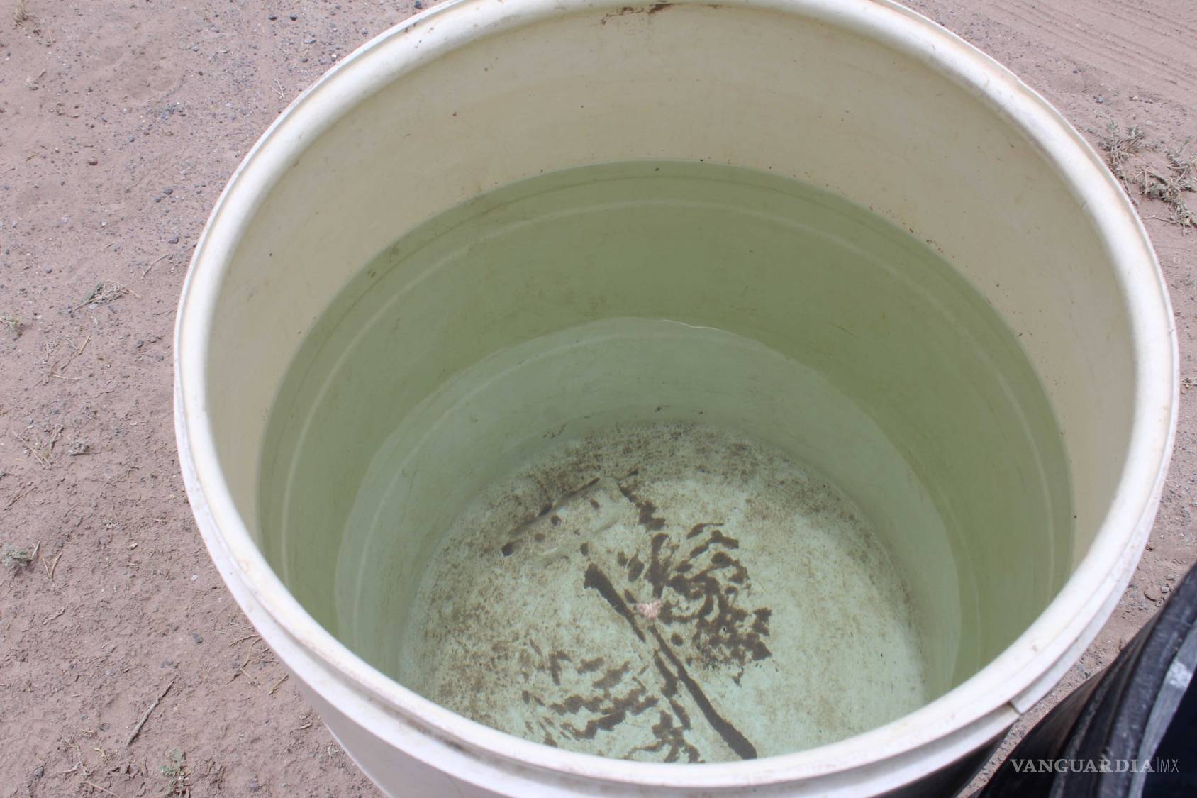 $!Coahuila, un estado con tinacos vacíos