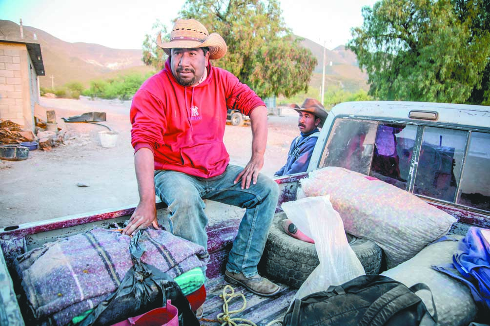 $!El viacrucis de los cabucheros