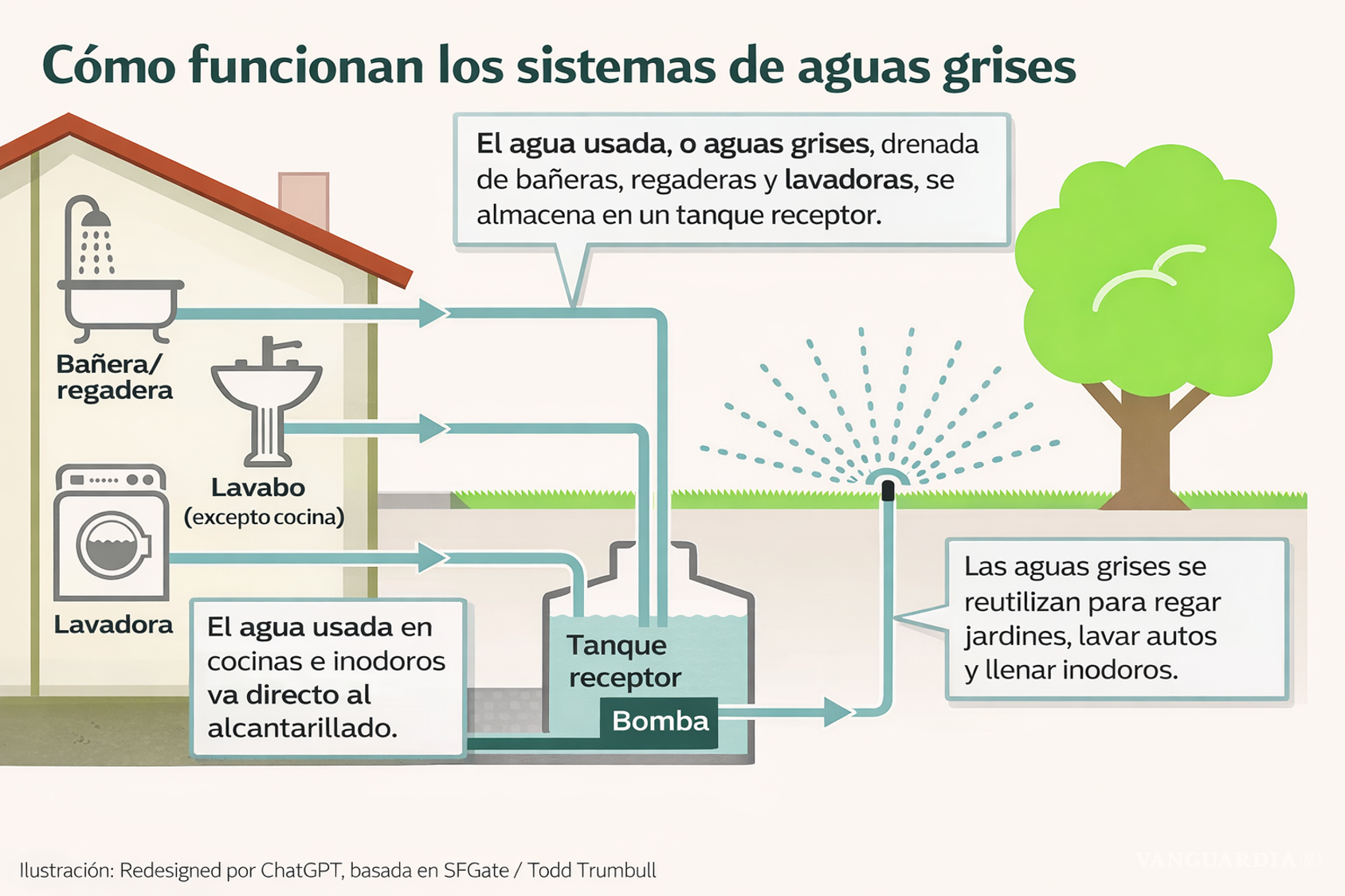 $!El agua de regaderas y lavadoras puede reutilizarse en el hogar para riego o sanitarios mediante sistemas de captación y filtrado.