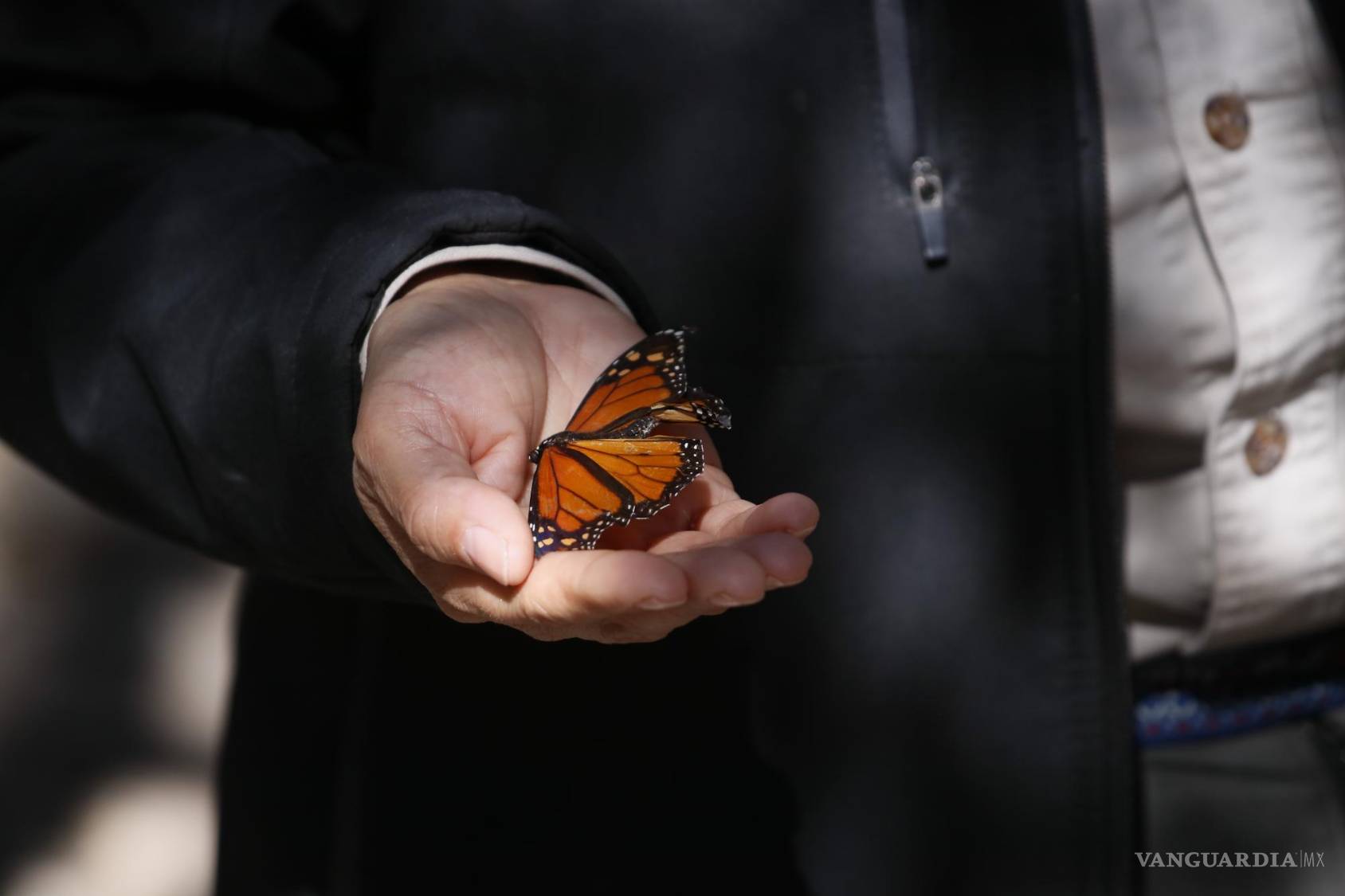 $!Dora Elia lidera brigadas juveniles durante los veranos, proporcionando a los jóvenes experiencias únicas de conservación y trabajo en equipo.