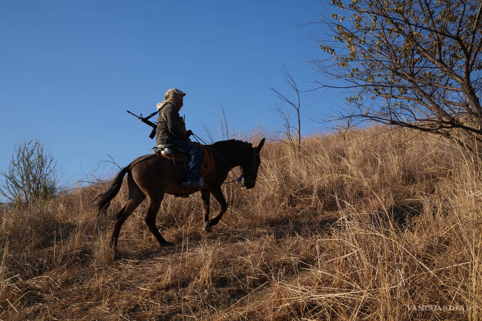 $!Un miembro de un grupo local de autodefensa formado por residentes en respuesta a la violencia de los cárteles, realiza tareas de vigilancia en Guajes de Ayala.