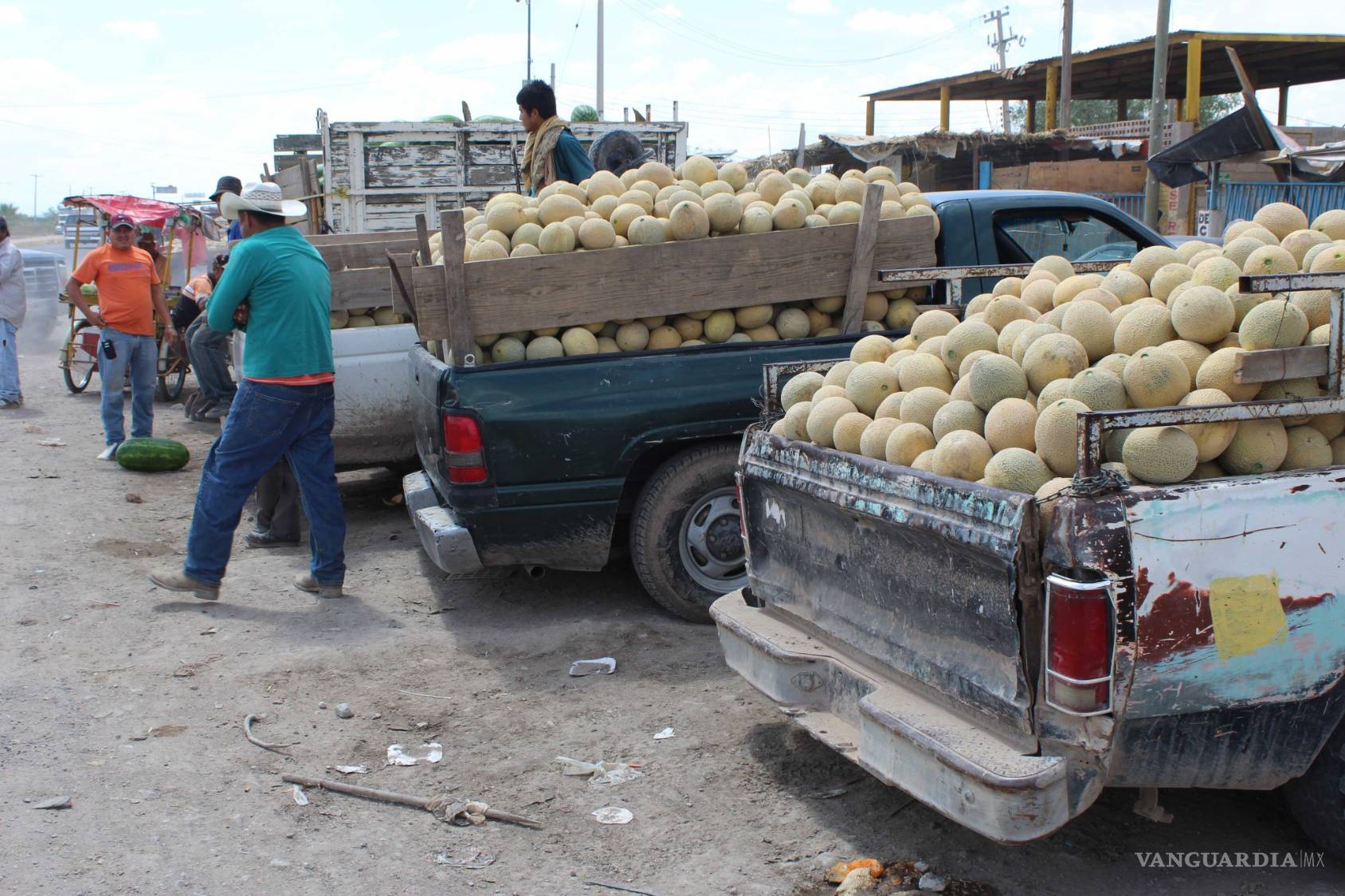 $!¿Qué hay detrás del melón más sabroso de México?