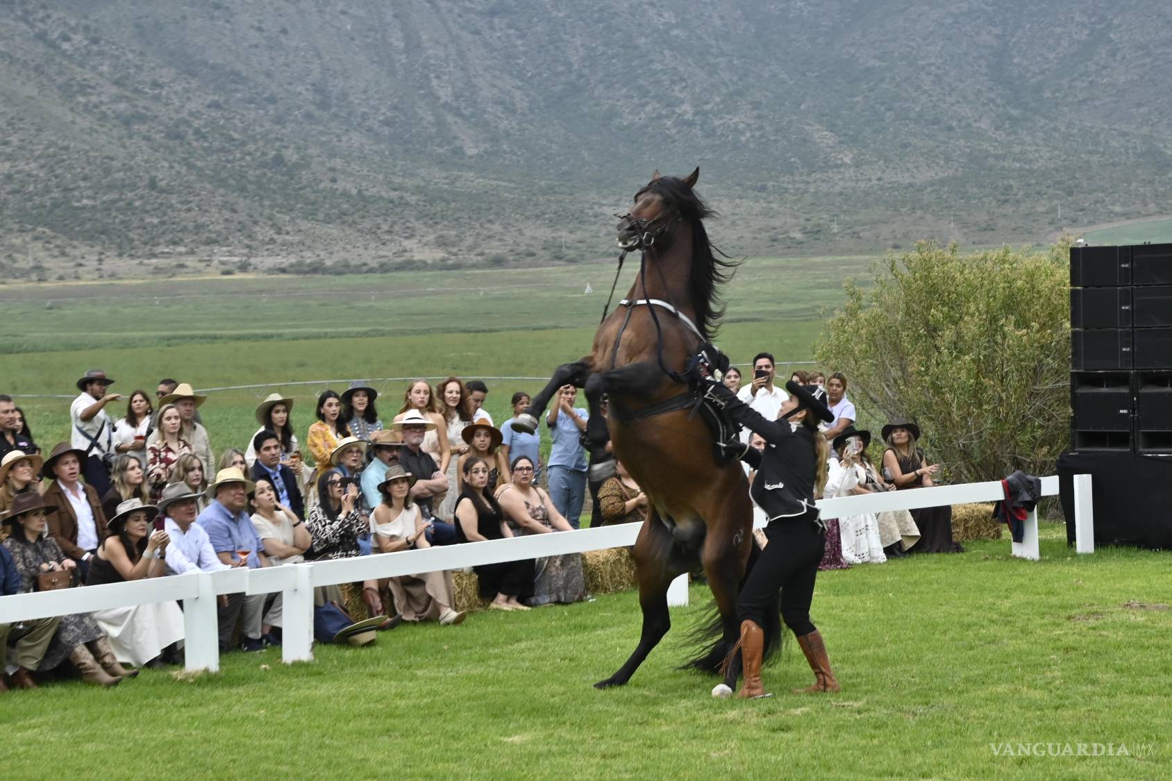 $!El criadero Las Morerías ofreció un espectáculo de caballos de sangre española a ritmo de arreglos orquestales de Queen.