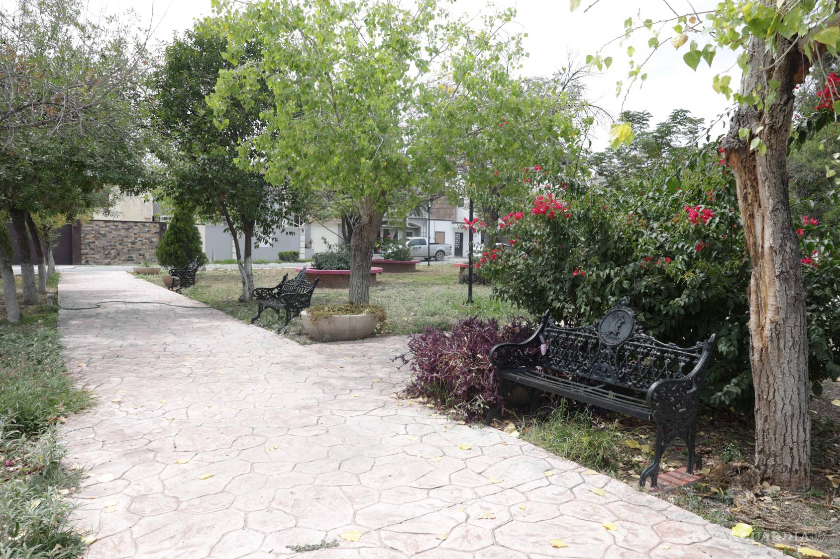$!El parque es punto de reunión para adultos mayores y niños que acuden a patinar.