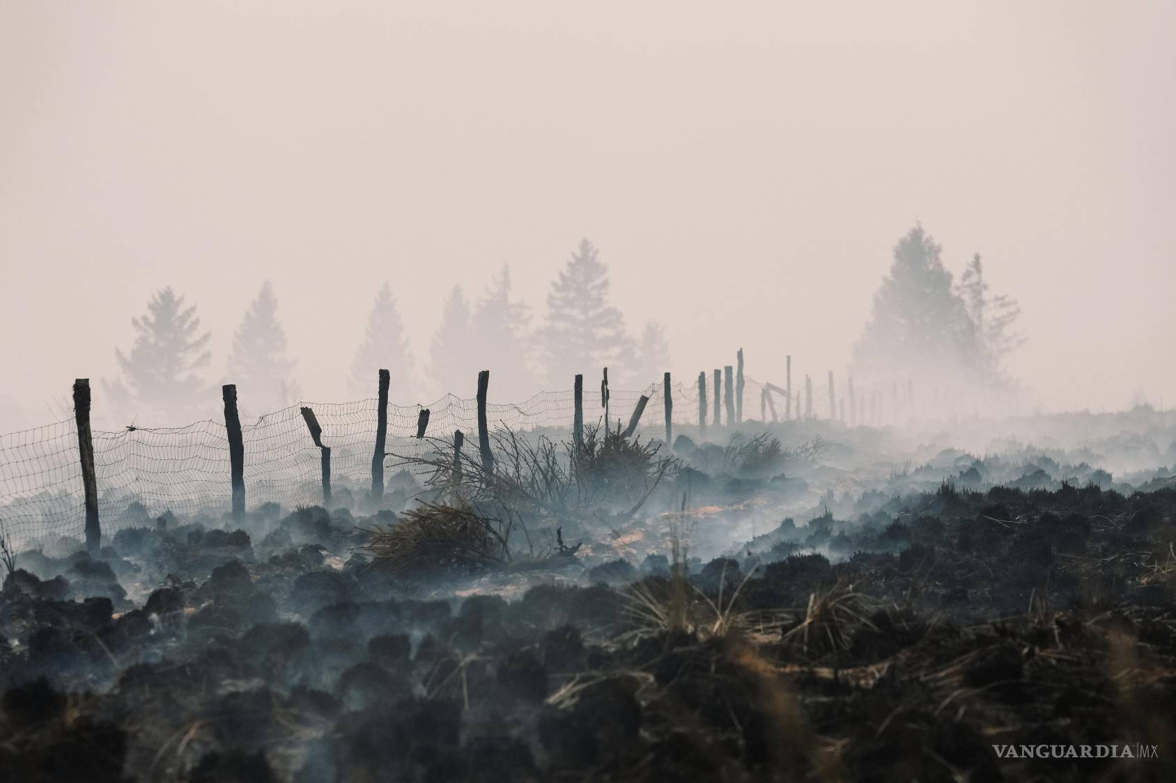 $!Nubes de humo salen de un campo arrasado por un incendio forestal cerca de Waimes, Bélgica, el 17 de agosto de 2026.
