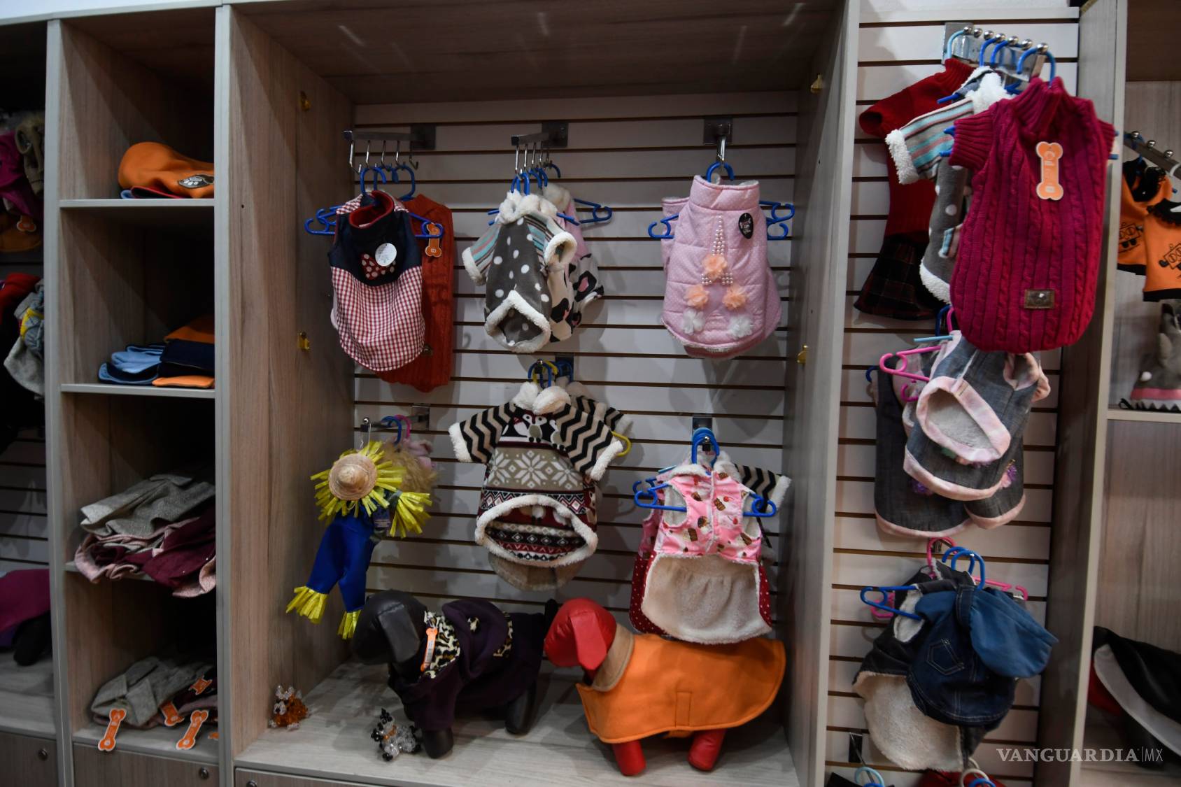 $!Por esta razón las mascotas no son un regalo que puedes desechar