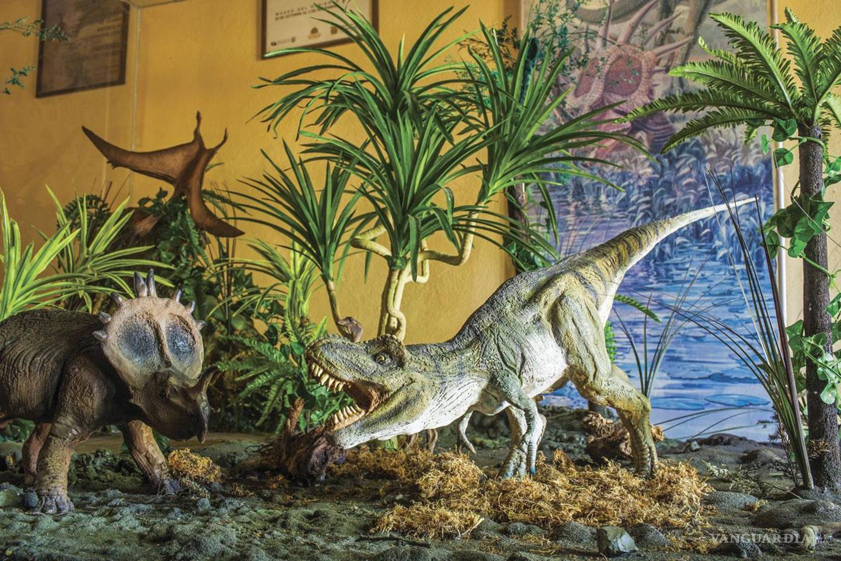 $!Su museo cuenta con fósiles de la vida marina y terrestre que vivió en Coahuila.