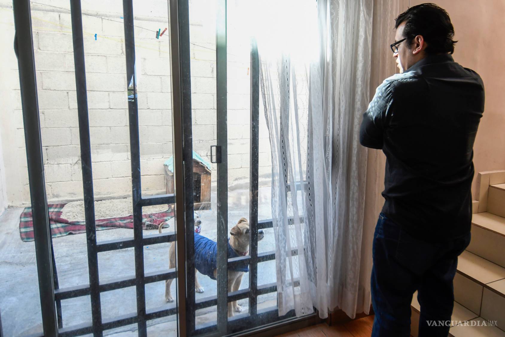 $!¿Ves sufrir a tu mascota cada que hay fuegos artificiales? Entérate cómo evitarles el sufrimiento