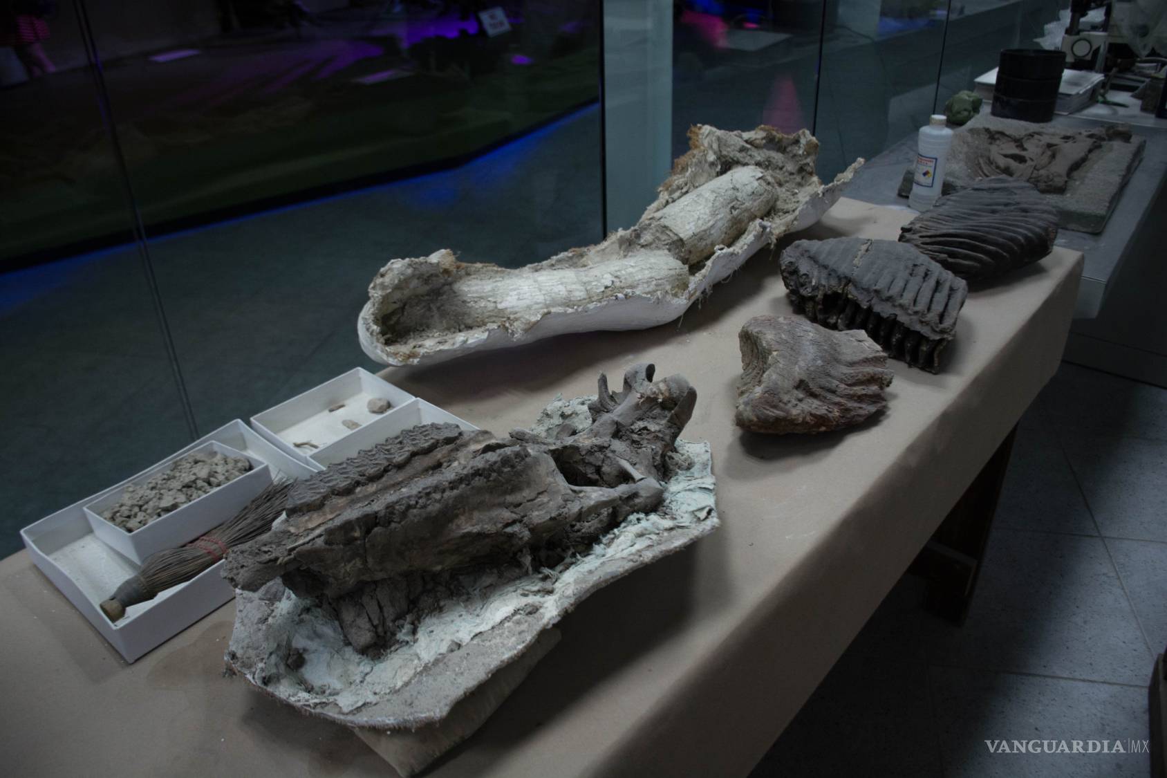 $!Saltillo, antes de ser Saltillo...