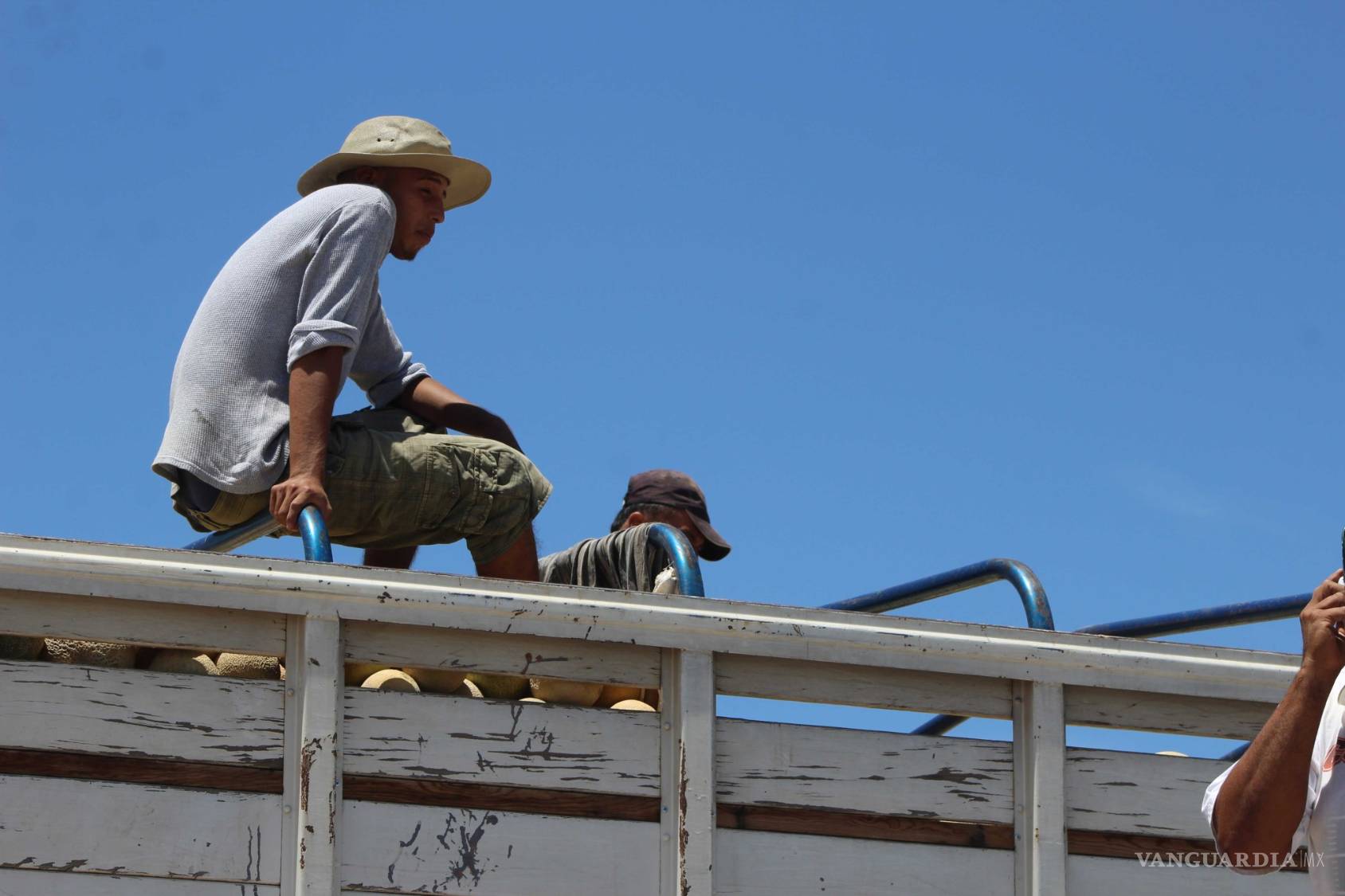 $!¿Qué hay detrás del melón más sabroso de México?