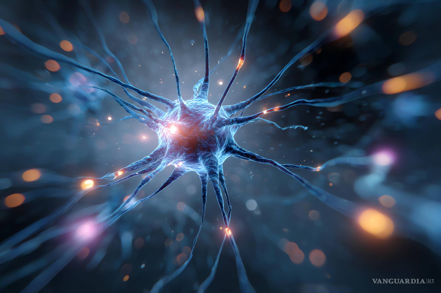 $!El cerebro realiza la poda sináptica durante toda la vida pues es una tarea de mantenimiento esencial. Neurona genenada por IA.
