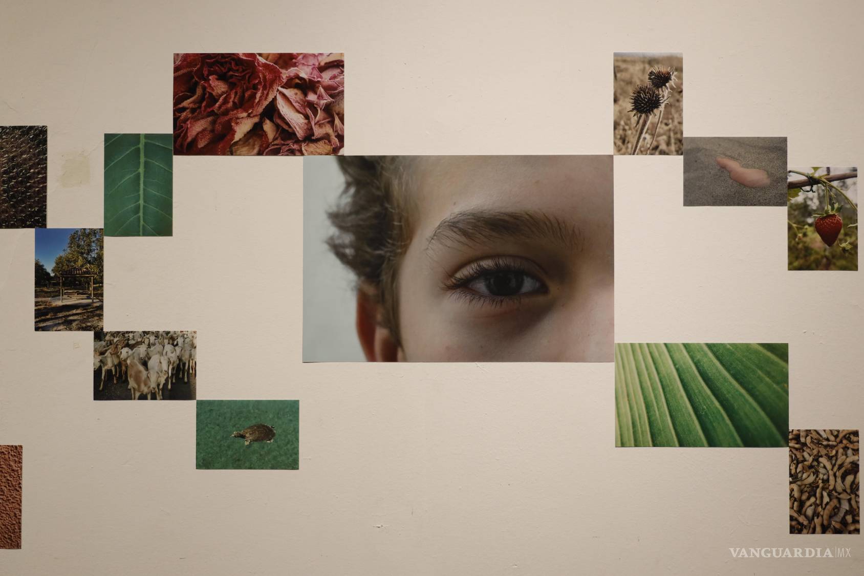 $!Exposición ‘Abrir la brecha’, un diálogo entre mujeres artistas de diferentes generaciones de Saltillo