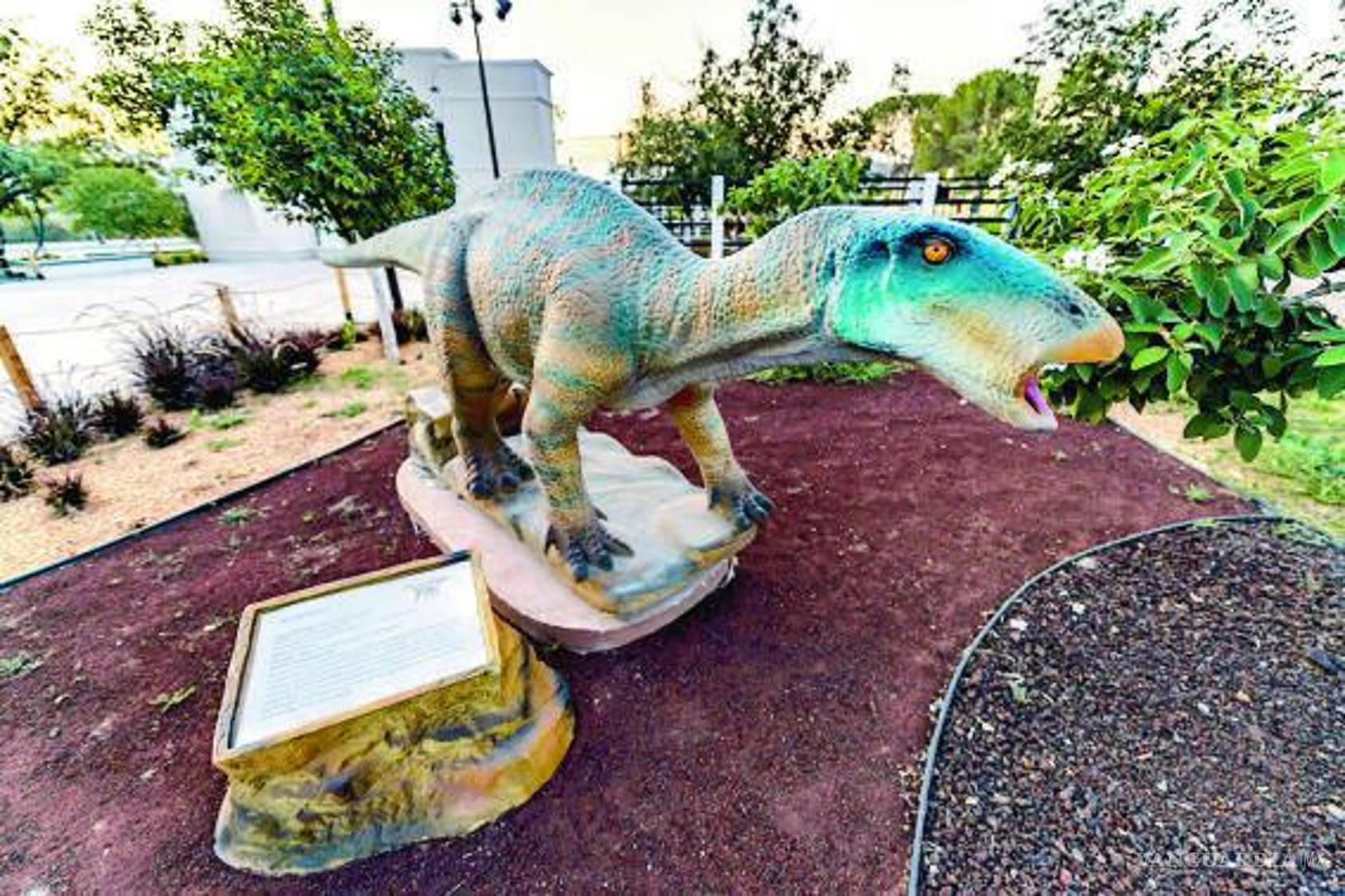 $!A pesar del nombre, está bastante lejos de lo que conocemos como iguana.