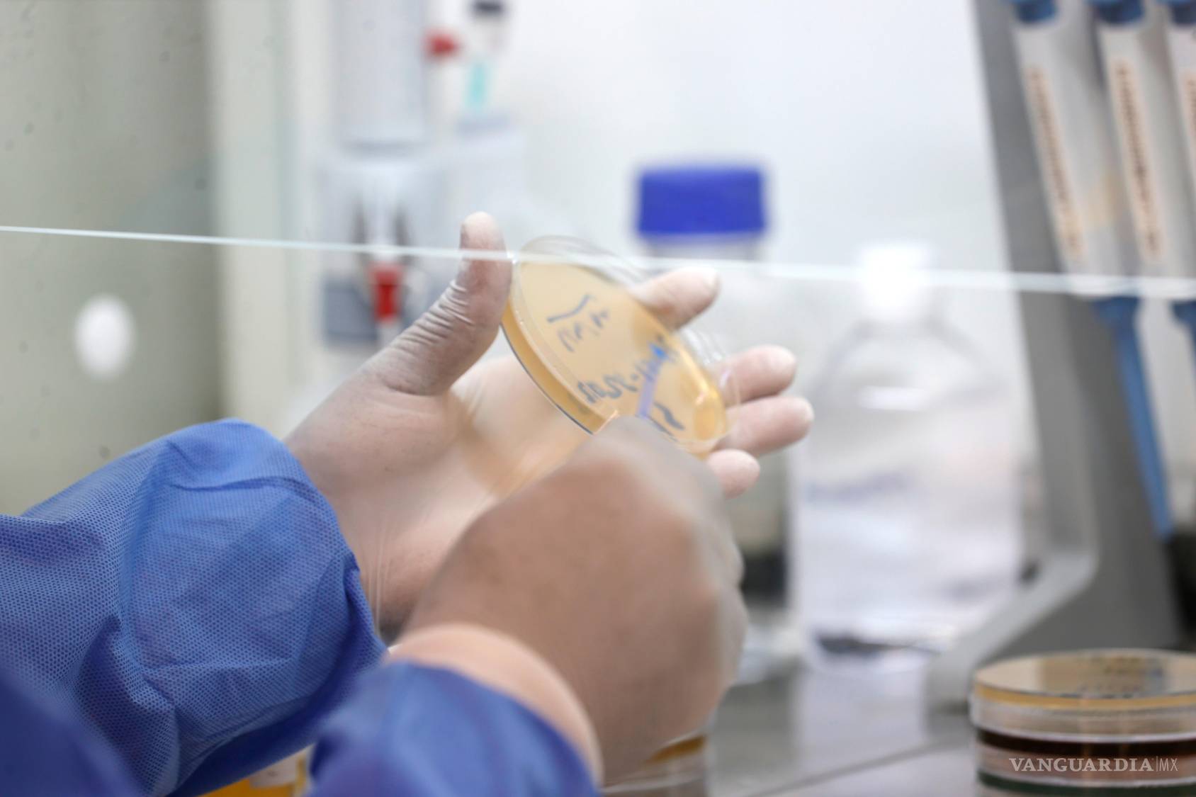 $!Los agentes predijeron una estrategia efectiva para atacar proteínas del cáncer de pulmón.